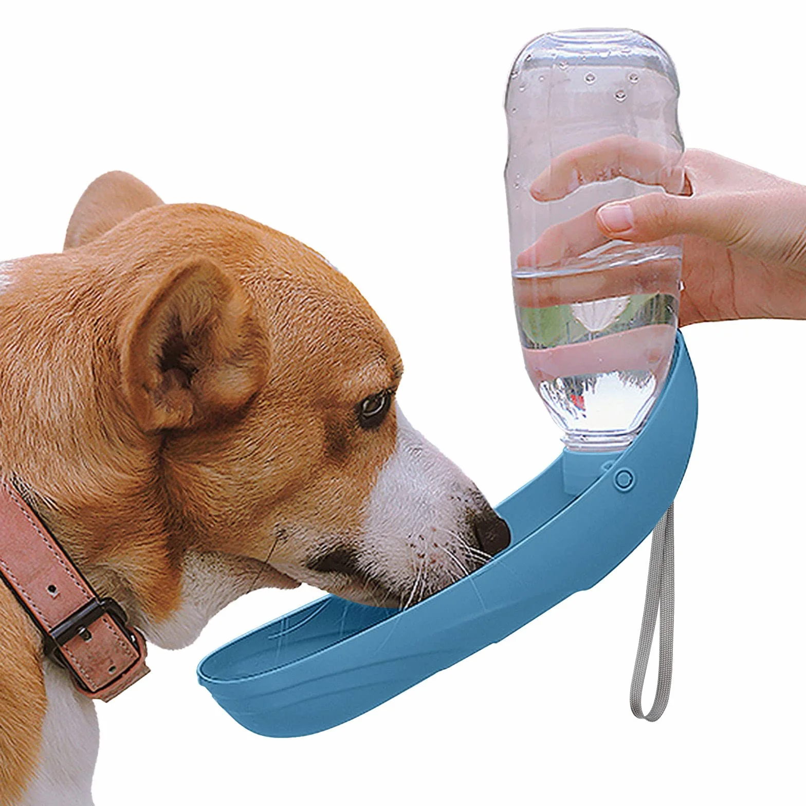 NAMSAN Butelka na wodę dla psa 550 ml przenośny dozownik outdoorowa niebieska