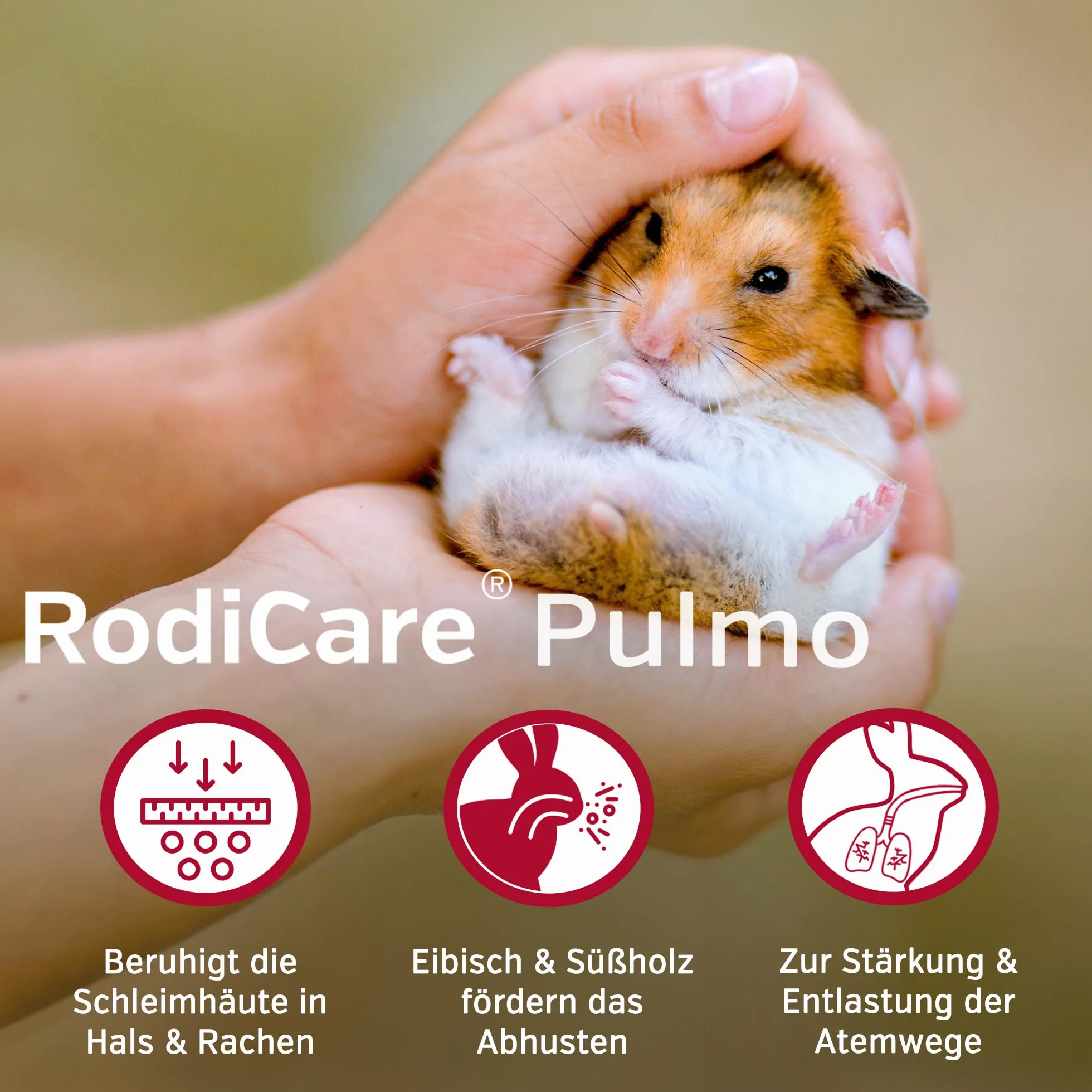alfavet RodiCare Pulmo 20 ml pasza uzupełniająca dla świnek morskich strzykawka dozująca