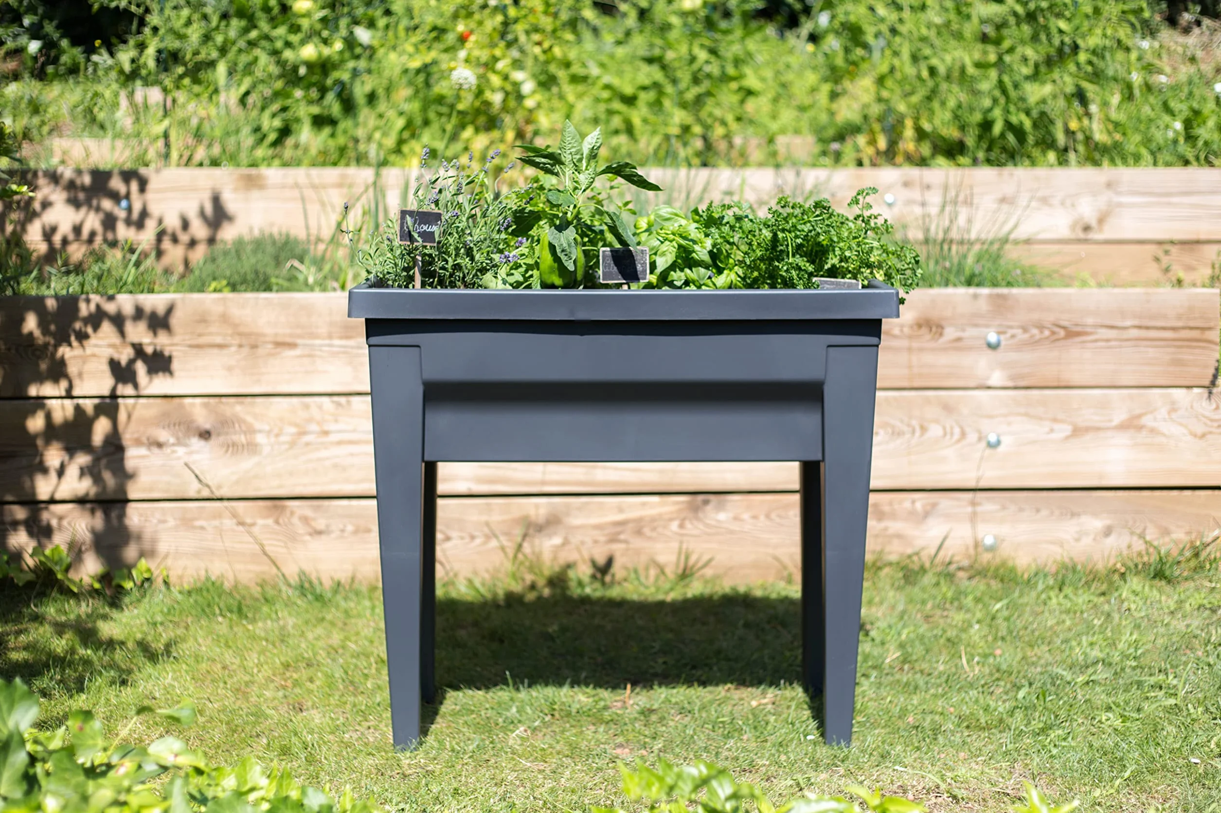 EDA PLASTIQUES Raum Potager Vegetable City 13923 G. ANT CX4 antracyt 76 x 38,5 x 68 cm