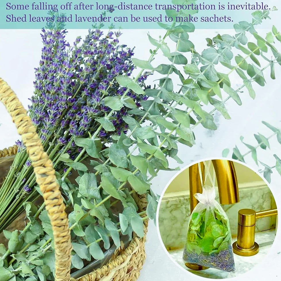 Zachowany eukaliptus suszony i suszony lawenda naturalne suszone kwiaty Deco DIY bukiet suszonych kwiatów, bukiet trawy pampasowej kwiat trzciny deco idealny do salonu Boho sypialni