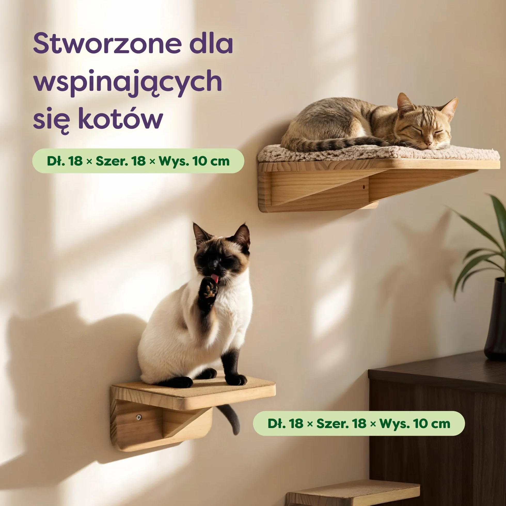 Knupis Zestaw Ściennej Drabinki dla Kota z Legowiskiem, Drewno Sosnowe, Stabilna Półka Ścienna do 30 kg, Beżowy