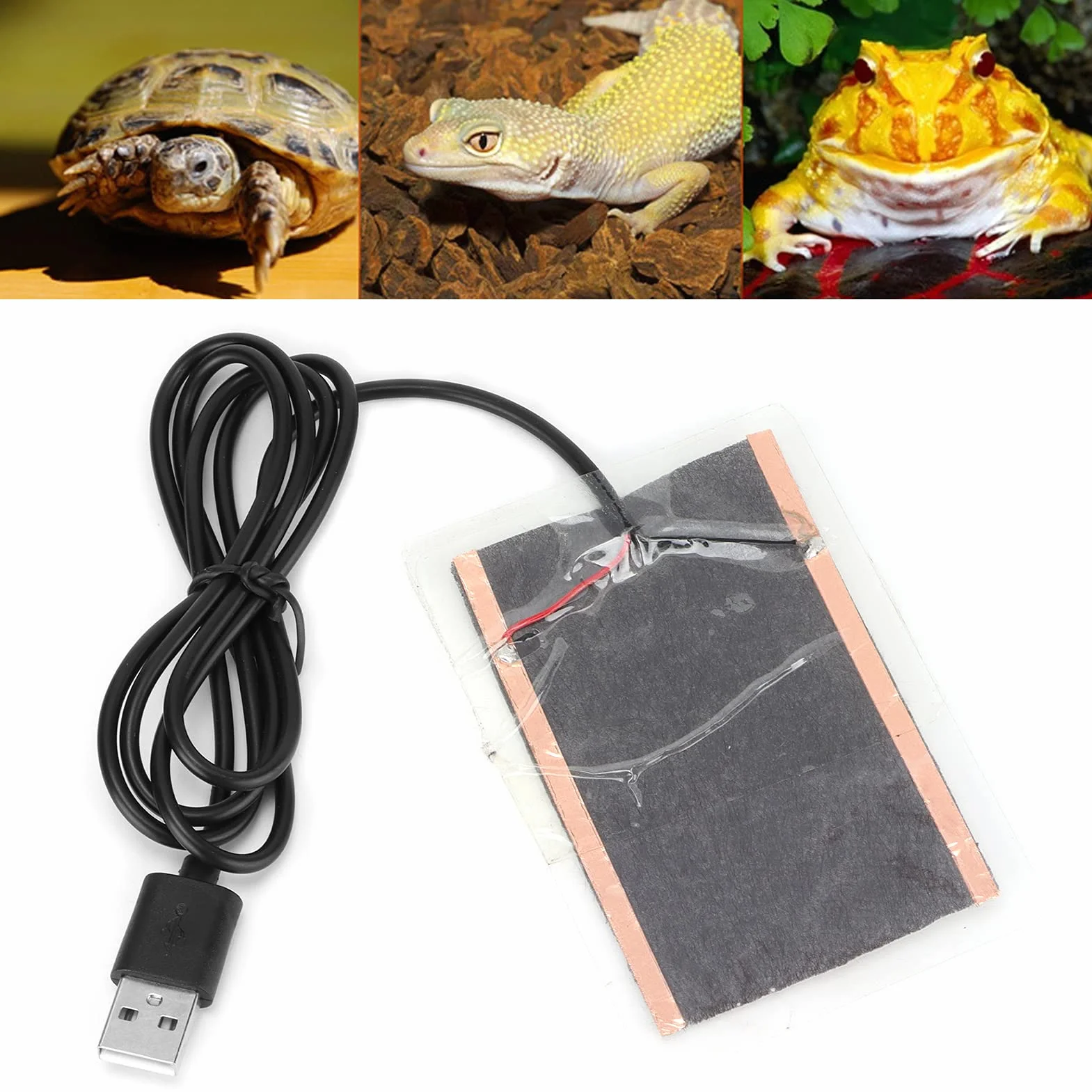 Folia grzewcza dla gadów USB odporna na wilgoć poduszka grzewcza do domu