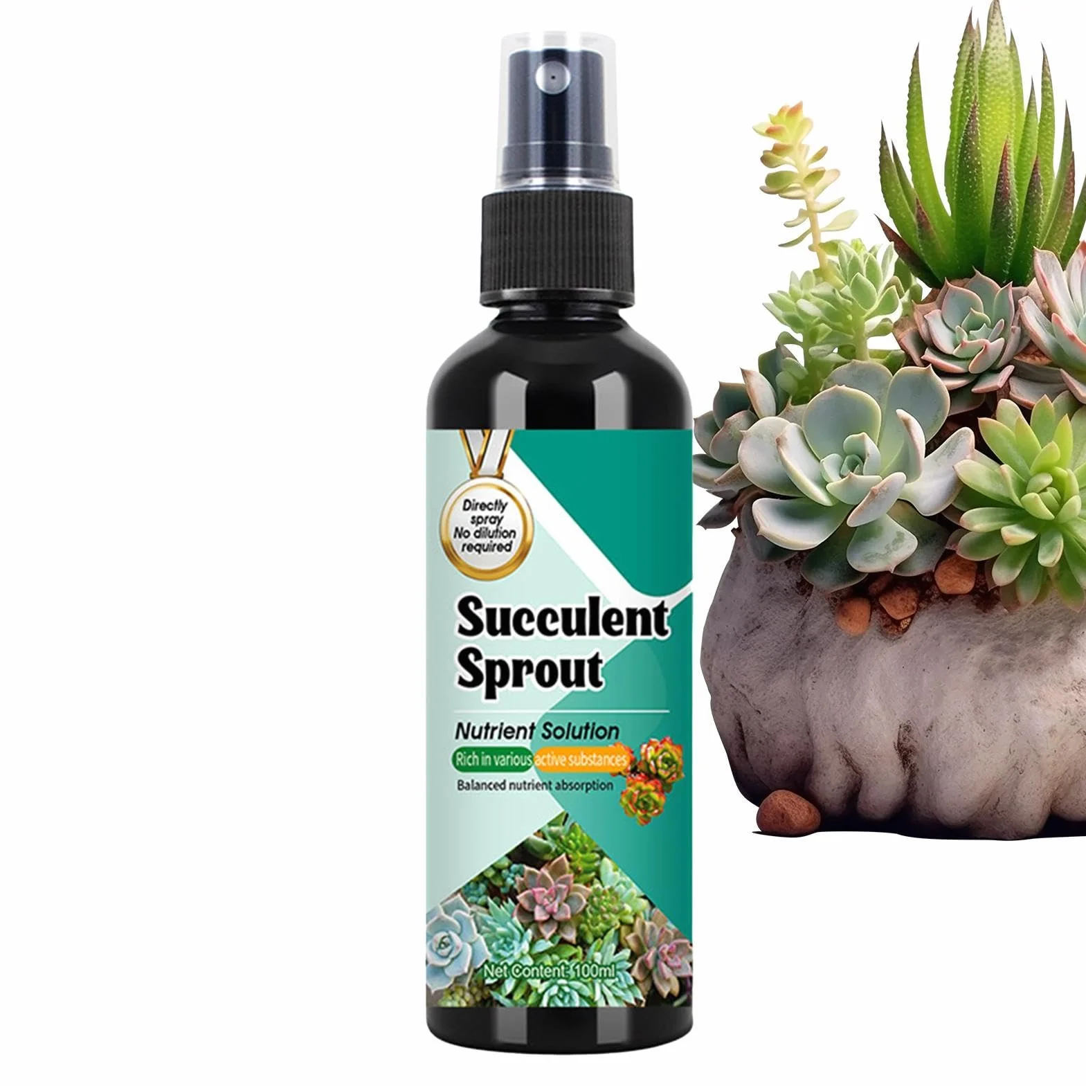 Nawóz Do Kaktusów | Stymulator Wzrostu Sadzonek Dla Sukulentów | 100ml Spray o Powolnym Uwalnianiu Wzmacniacz Kiełków do Wzrostu, Rozmnażania, Sadzenia i Przesadzania
