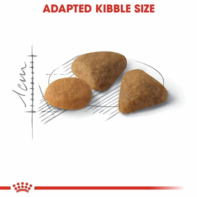 ROYAL CANIN Savour Exigent dwupak 2 x 400 g karma dla wybrednych kotów 12. miesiąc życia