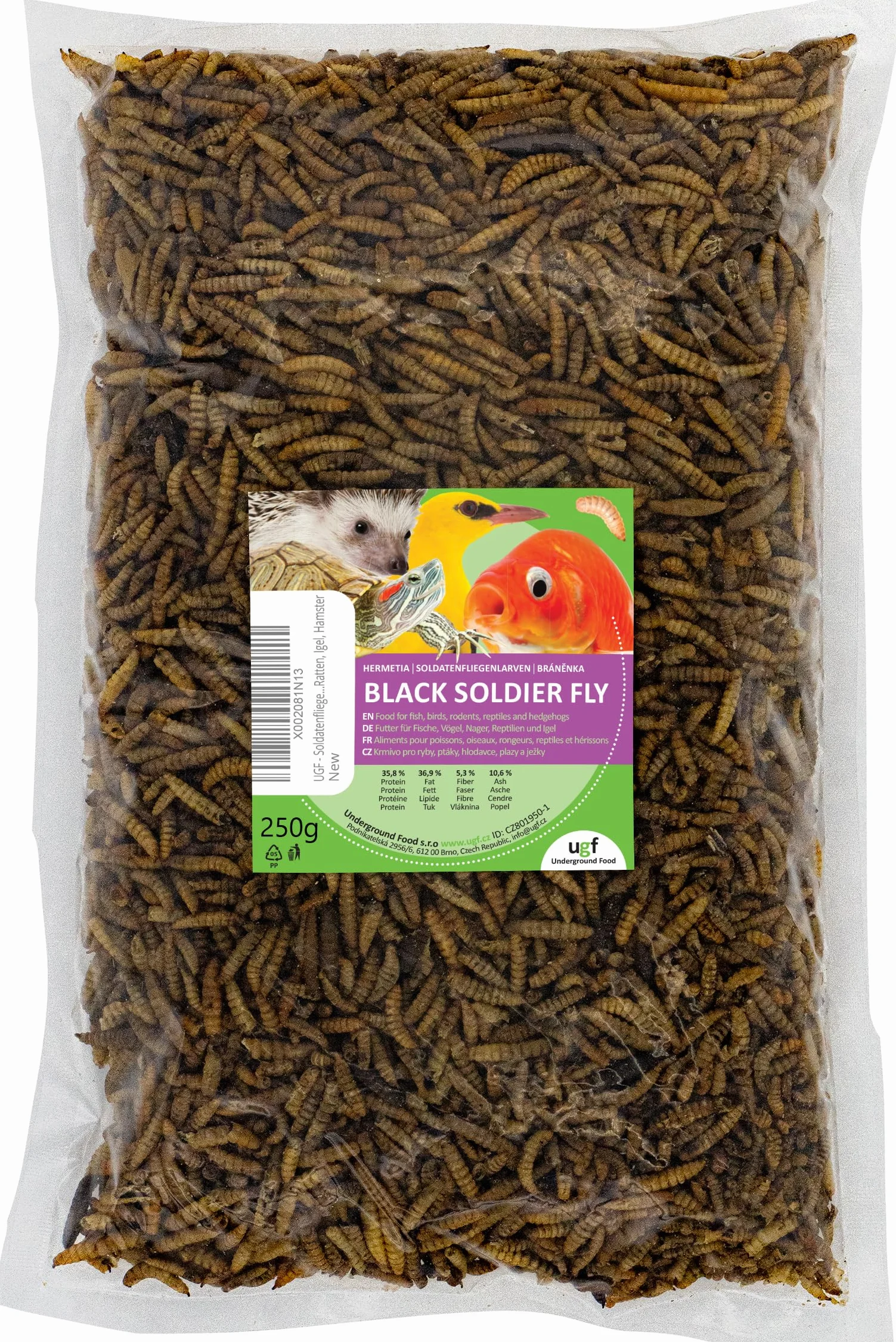 Hermetia larwy muchowe żołnierze BSFL 250 g przysmak dla dzikich ptaków żółwi szczurów