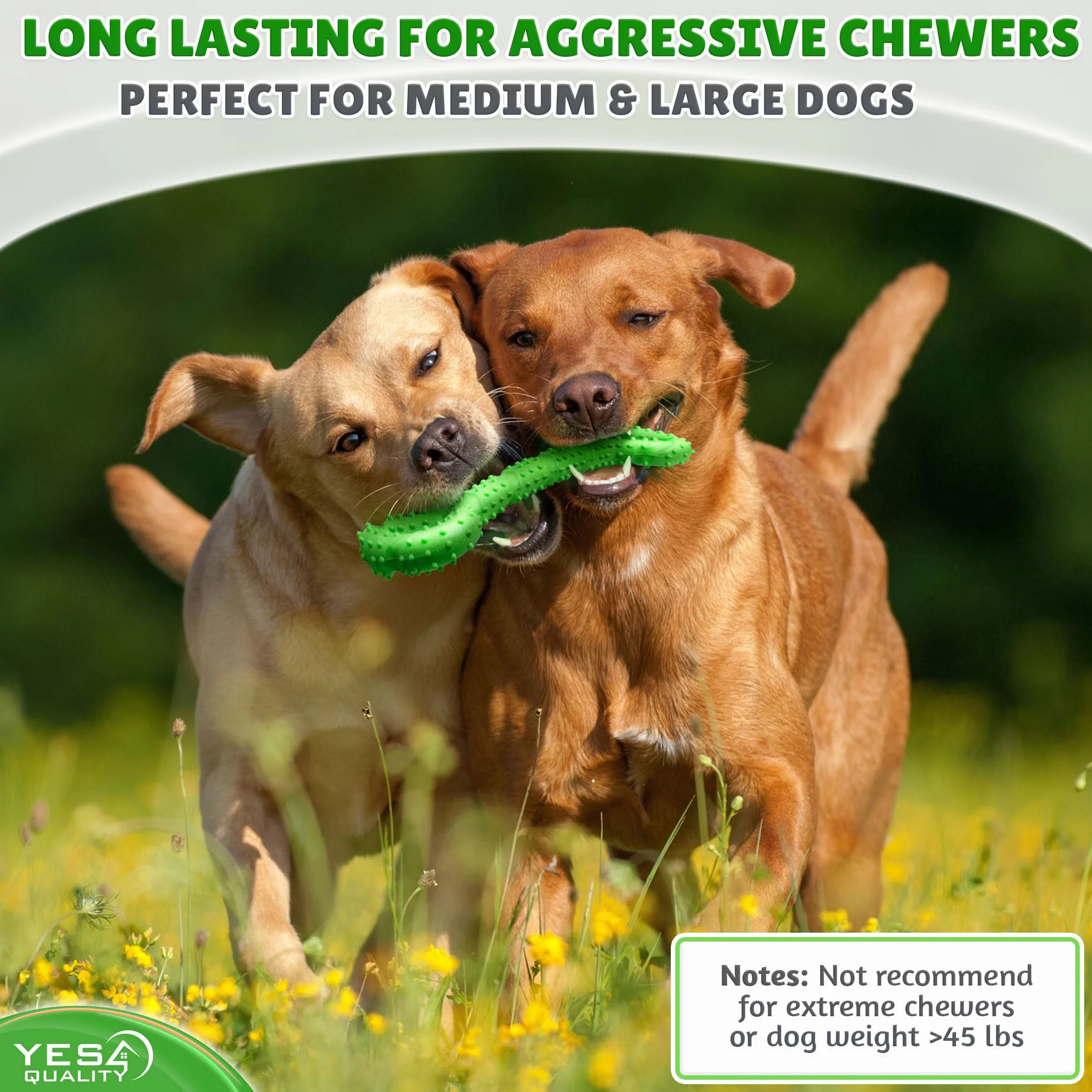 Yes4Quality - Dog Chew Toy - 33 cm, Green - Tough Bone Toy for Aggressive Chewers - Mentally Stimulating Pet Enrichment Toy to Keep Dogs Busy
