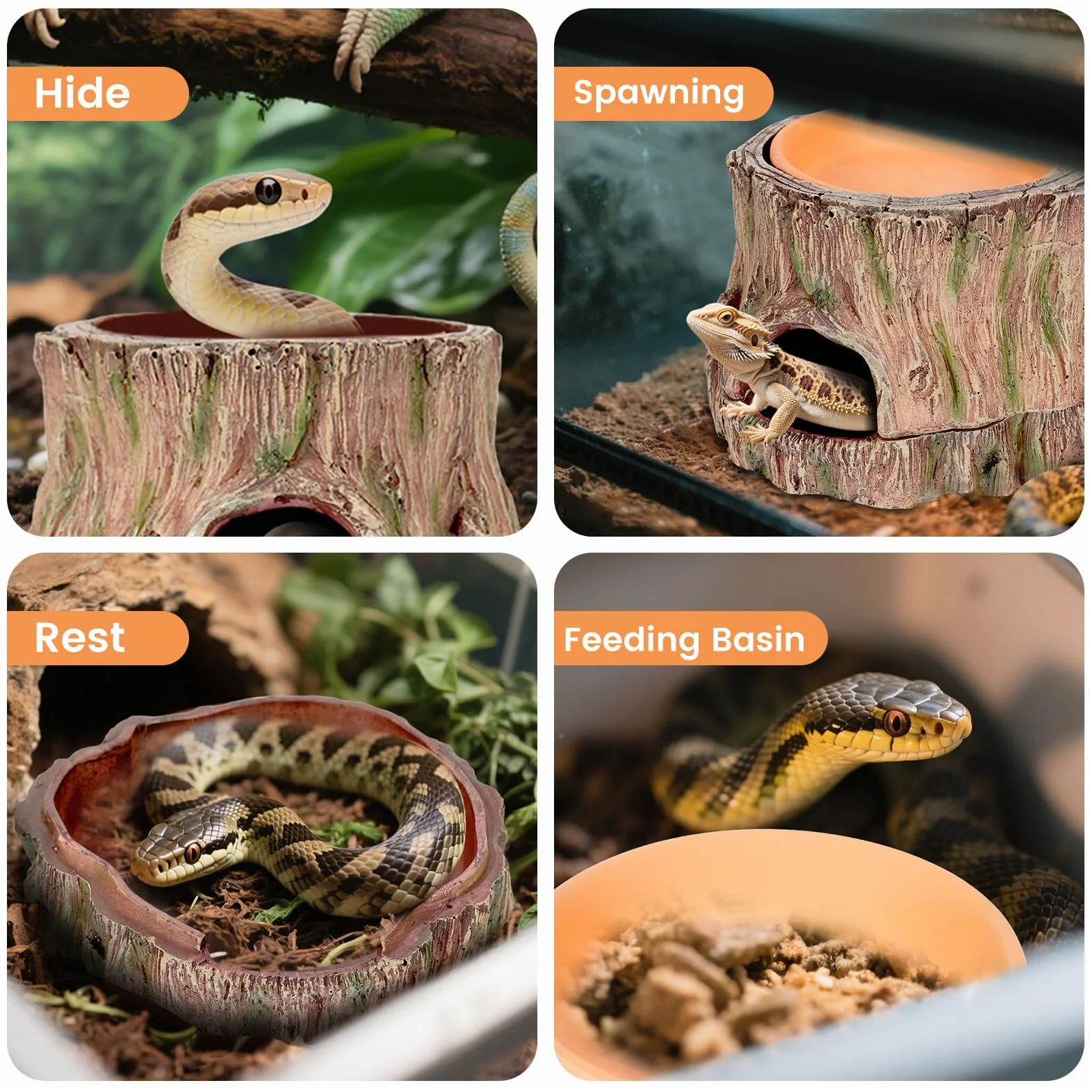 Wetbox 3 w 1 Terrarium Kryjówka Repti Schronienie dla Gekona Węża Żółwia Jaszczurki