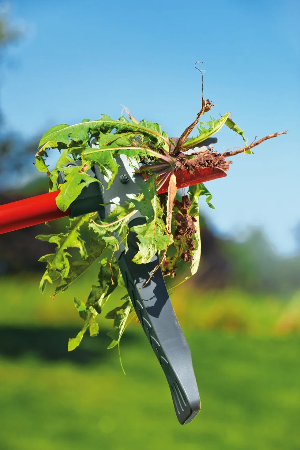 WOLF-Garten IWA Garden Weeder Narzędzie do pielęgnacji trawnika, czerwone, 121 x 7,75 x 3,75 cm