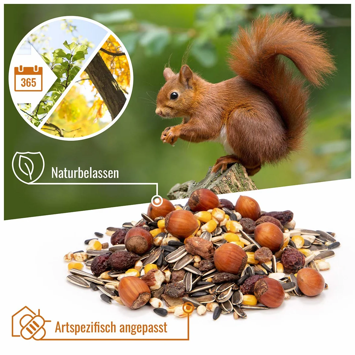 Wildtier herz karma dla wiewiórek, całoroczna, 1 kg