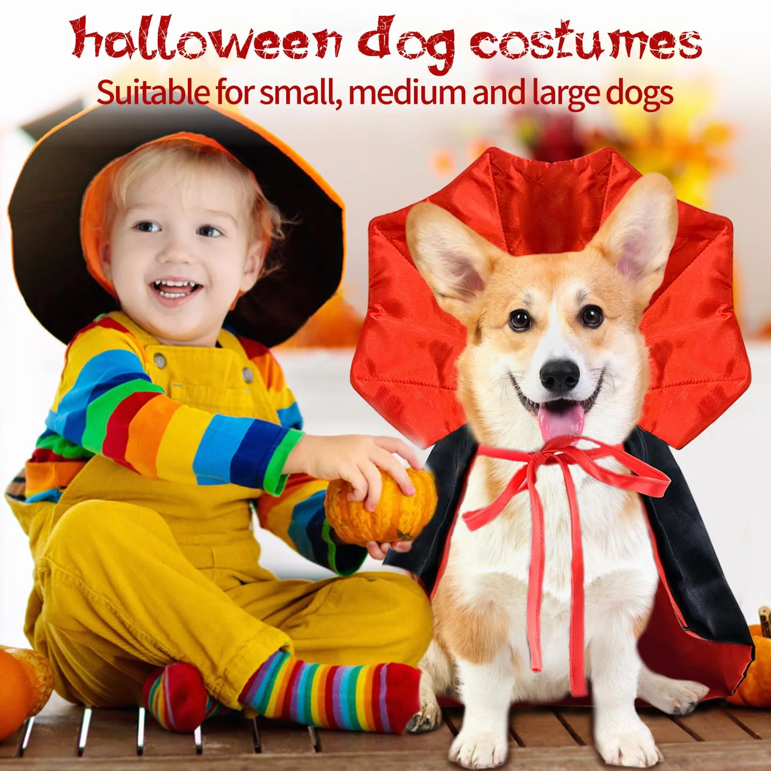 Kostium Wampira dla Psów i Kotów - Halloween, Pelerynę z Akcesoriami