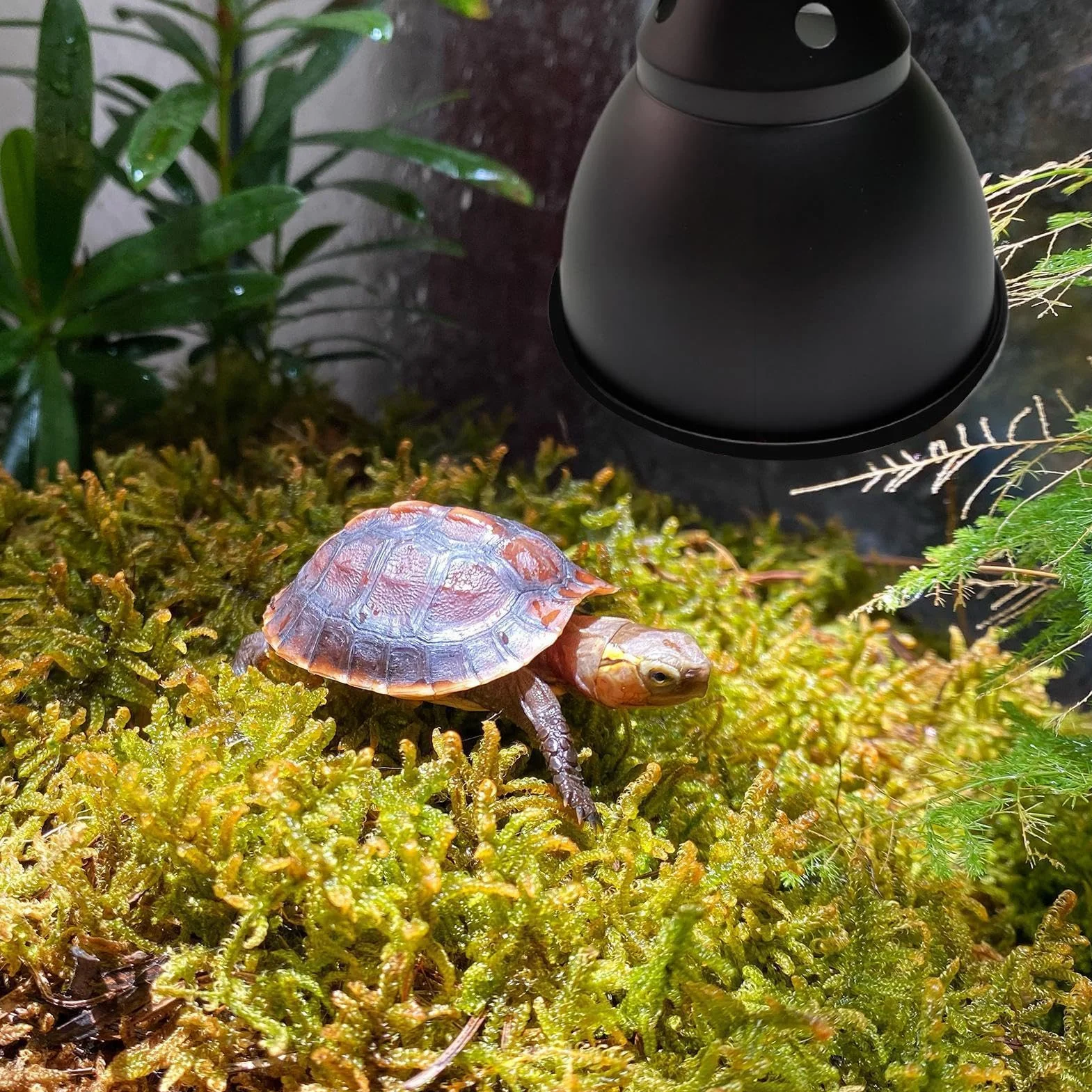 Oprawa lampy grzewczej dla gadów klosz z głęboką kopułą osłona odbicia optycznego do terrarium UVB