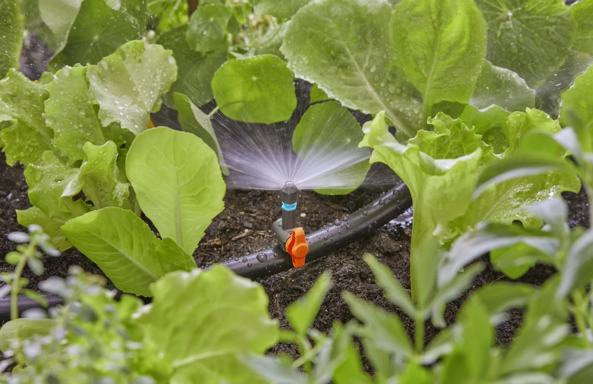 Gardena Micro-Drip-System zawór regulacyjny: Do regulacji przepływu wody na dyszach zraszających lub na rurze przedłużającej dysz zraszających, zawartość: 5 szt. (13231-20)