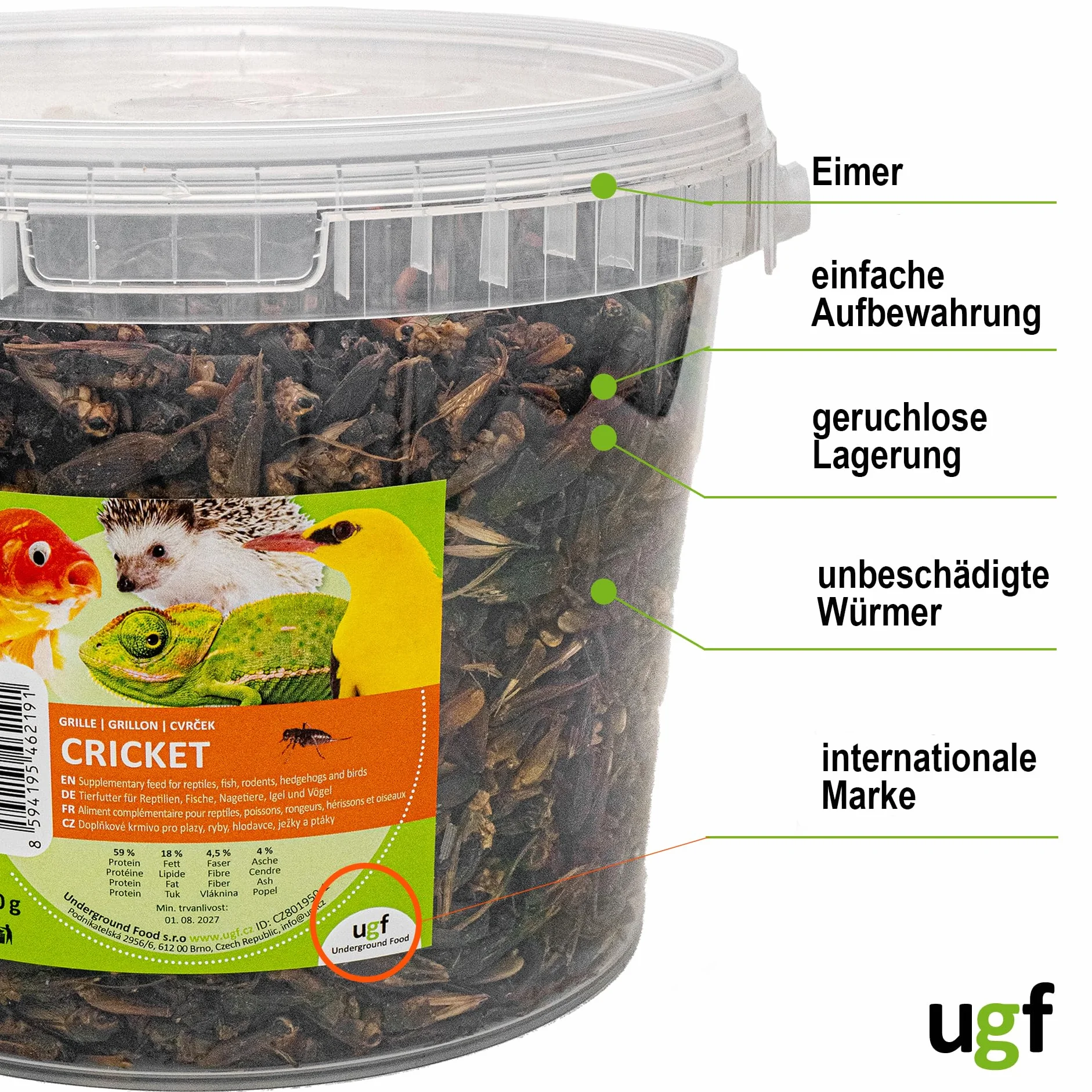 Suszone świerszcze 400 g w wiaderku 3-litrowym - Karma dla ptaków dzikich, żółwi, jeży, jaszczurek, ryb