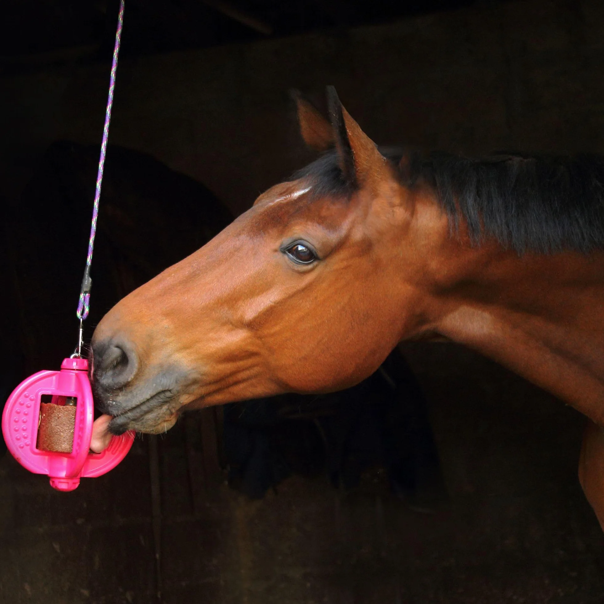 Waldhausen Bizzy Horse Leckstein, 1 kg, Minze