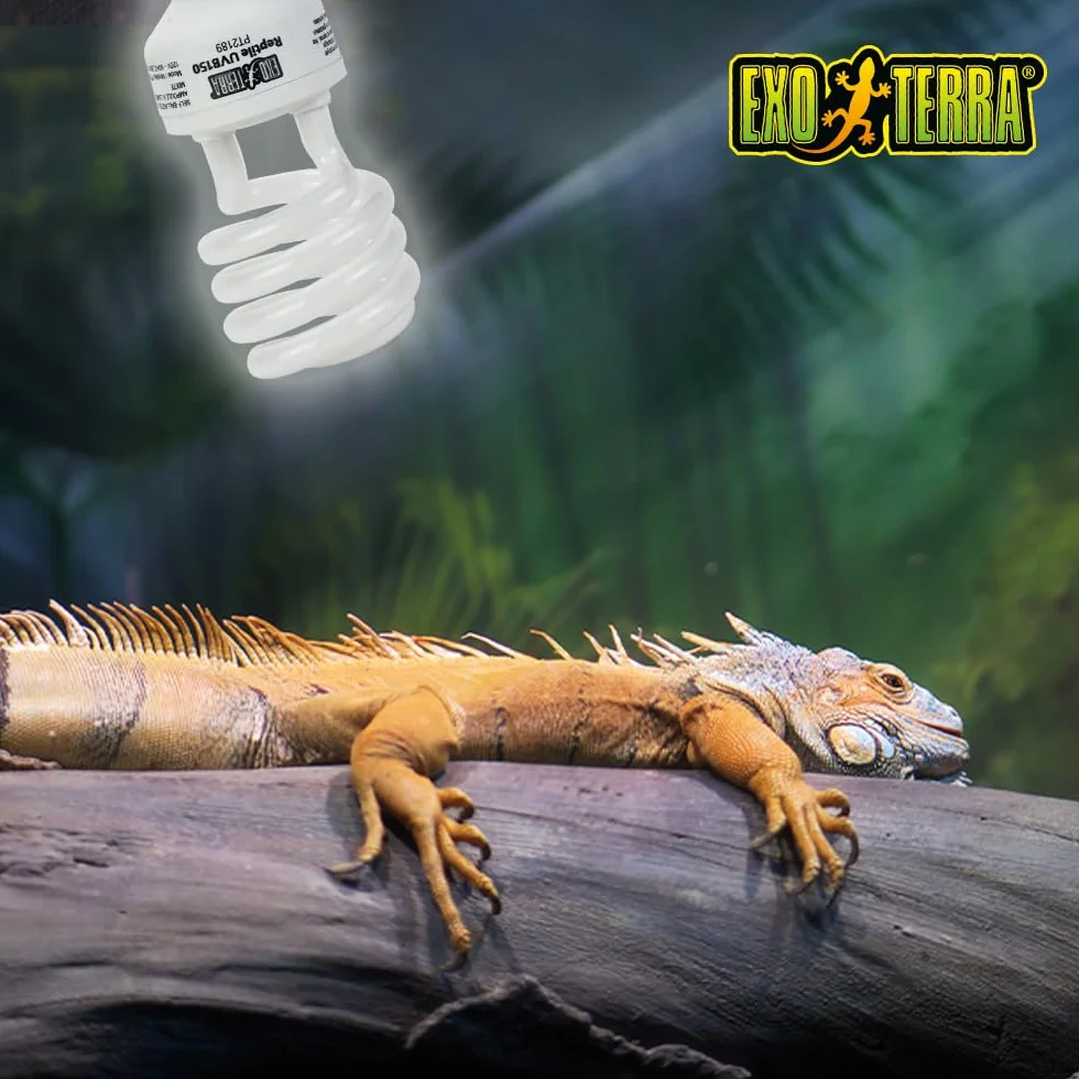Exo Terra PT2189 Lampa Symulująca Światło Słoneczne 25 W Biała