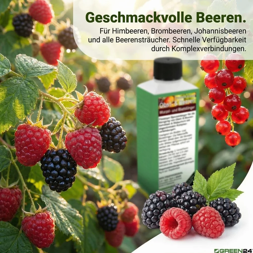 GREEN24 Nawóz do drzew owocowych - specjalistyczny nawóz do drzew owocowych i jagód maliny, gruszy, wiśni, śliwki, borówek, porzeczek NPK 250ml koncentrat