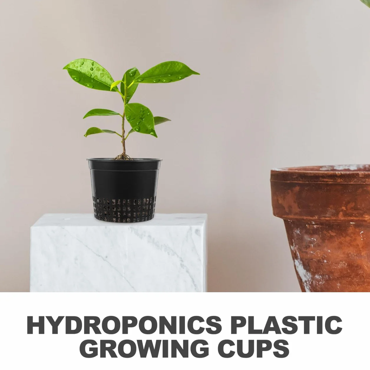 Angoily Doniczki hydroponiczne z siatki, 10 sztuk, 13 x 13 x 12 cm, kosz na rośliny z tworzywa sztucznego, do hydroponiki, do ogrodu, siatki, doniczki, do uprawy roślin, kosz na rośliny, kolor czarny