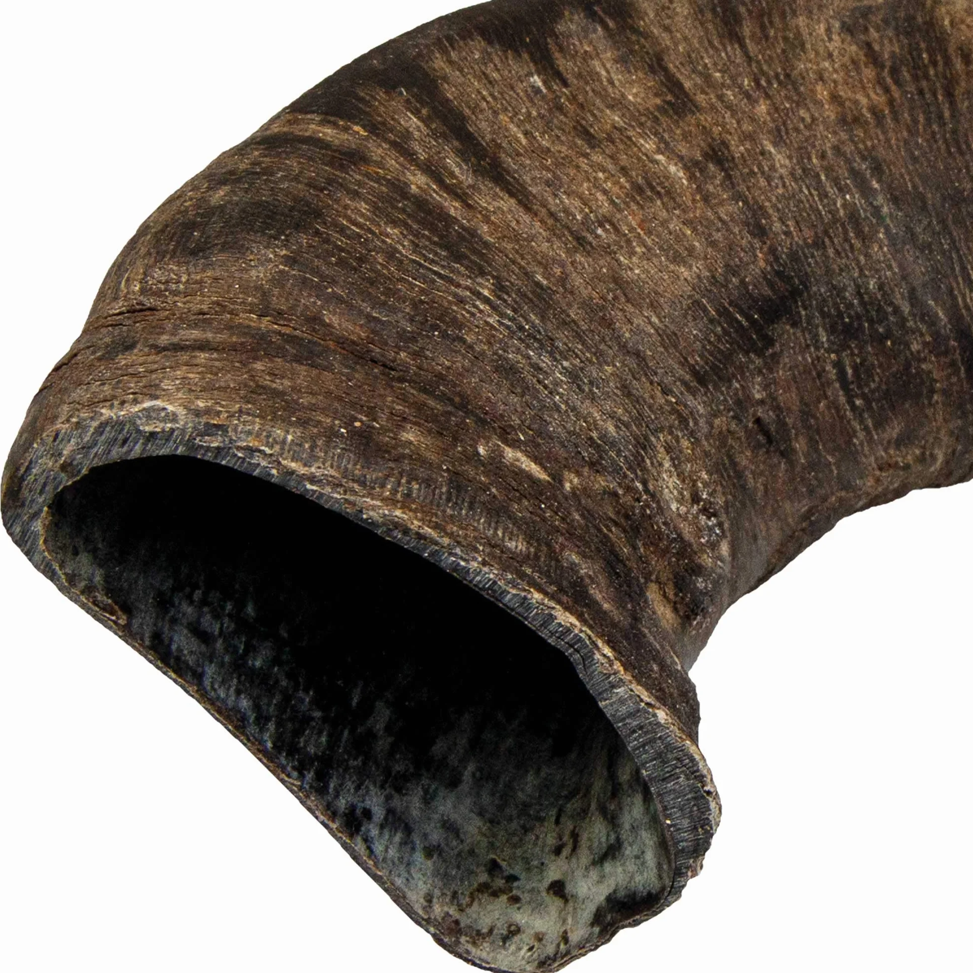 TX-27743 Buffalo Chewing Horn Large