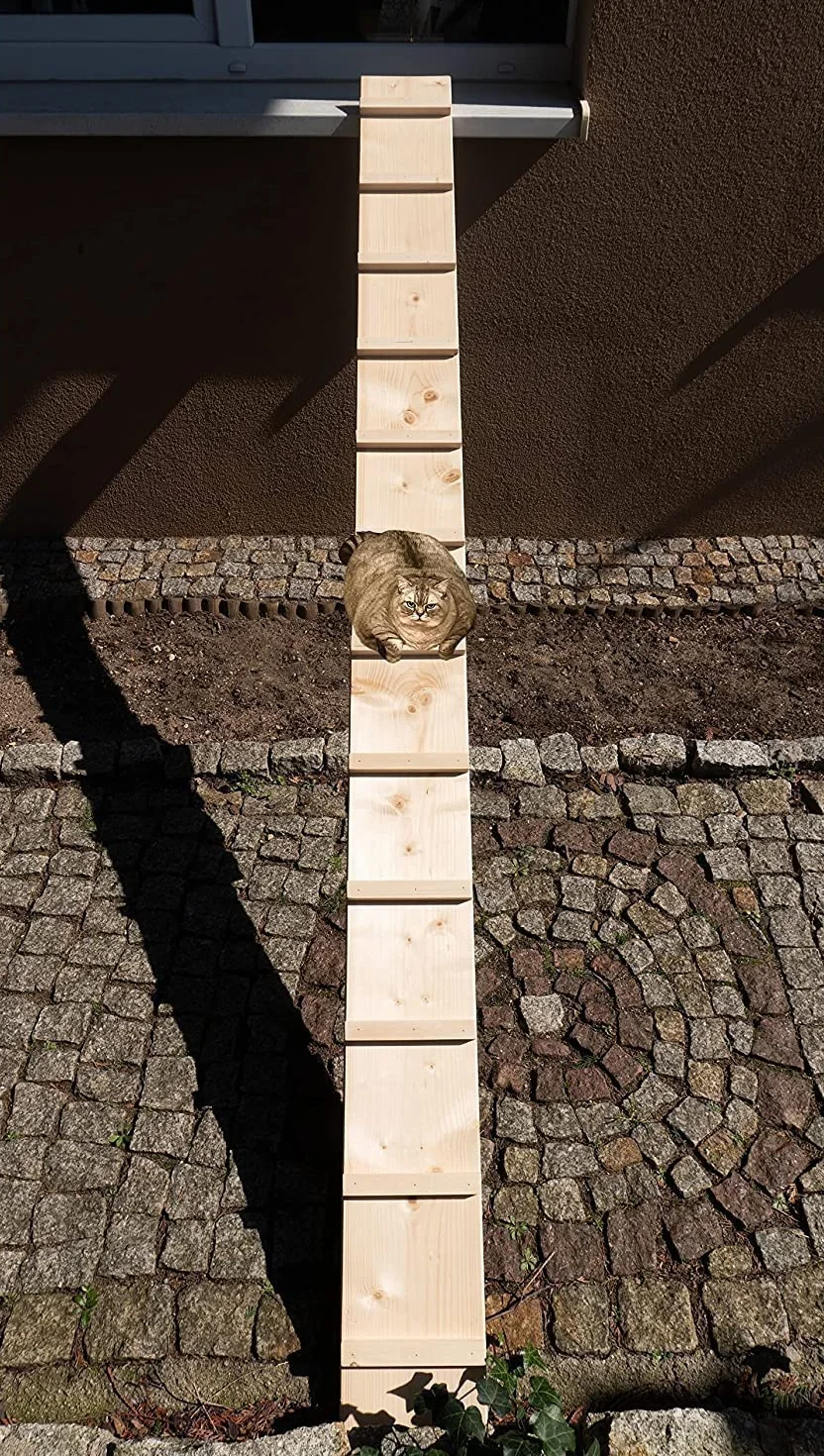 Drabinka dla kotów, schodki dla kotów, na balkon, schody, 1,2 m, bez mocowania