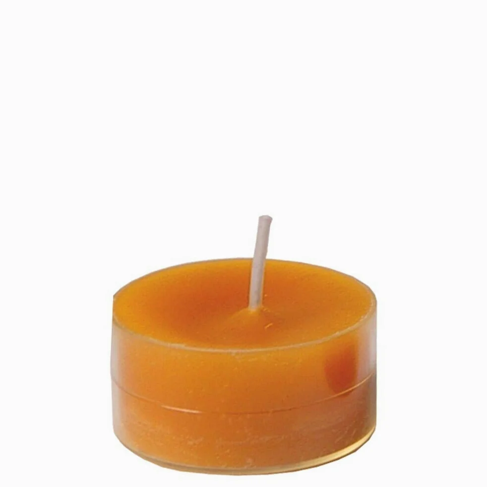 Spaas 24 Scented Clearlights, Tealights in Transparent Clear Cup, 4.5 Hours, Sparkling Times