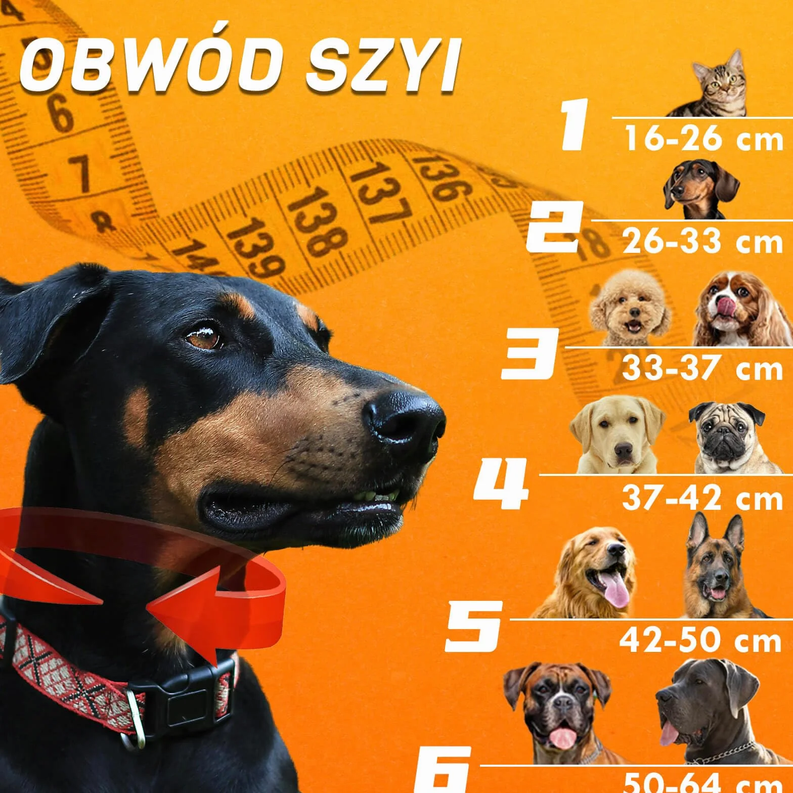 Aschpas® 2 w 1 Obroża dla psa Lejkiem, Nadmuchiwane Obroże dla psa po Operacji, Lejek dla Kota, Kagańce (Rozmiar 4 (37-42cm))