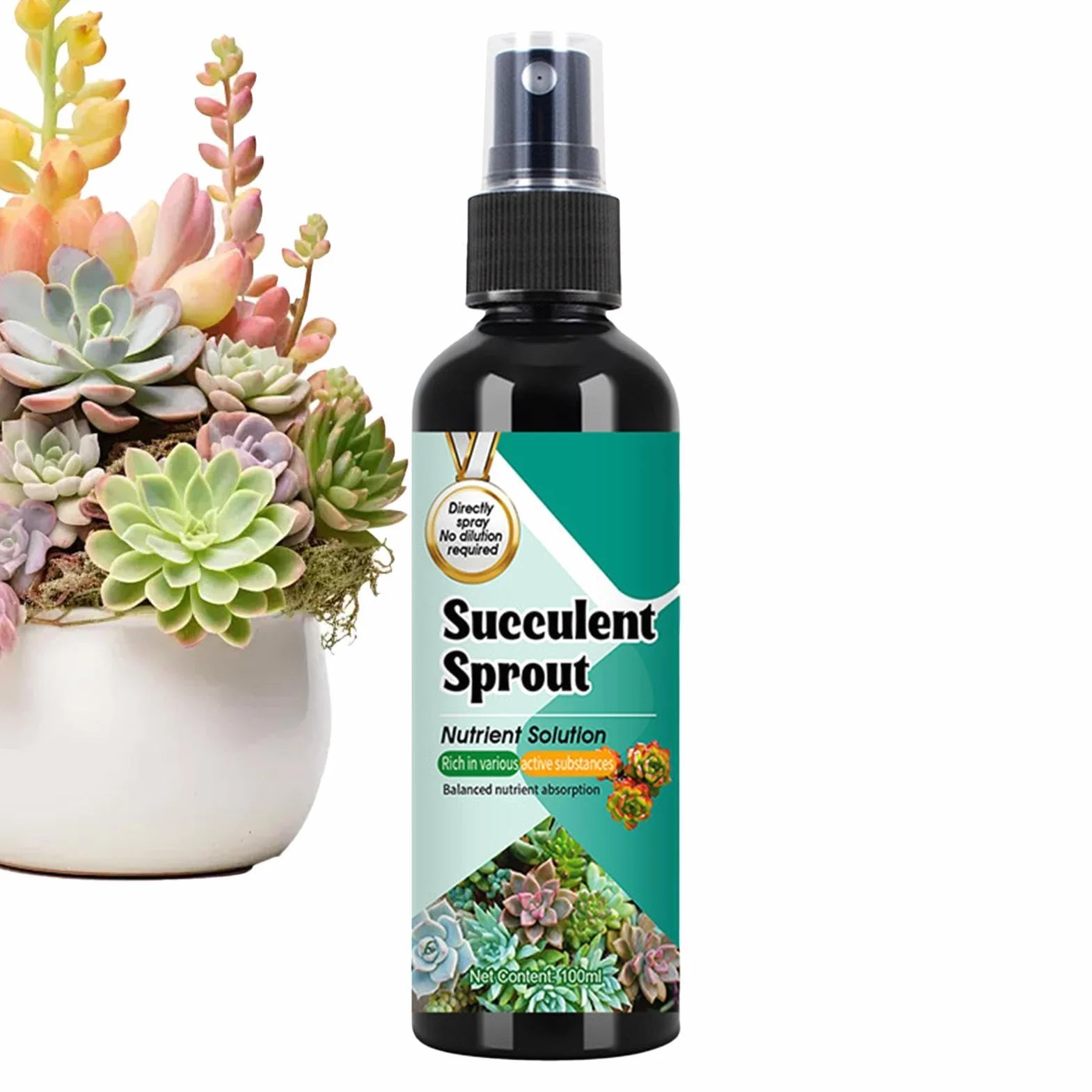 Nawóz Do Kaktusów | Stymulator Wzrostu Sadzonek Dla Sukulentów | 100ml Spray o Powolnym Uwalnianiu Wzmacniacz Kiełków do Wzrostu, Rozmnażania, Sadzenia i Przesadzania