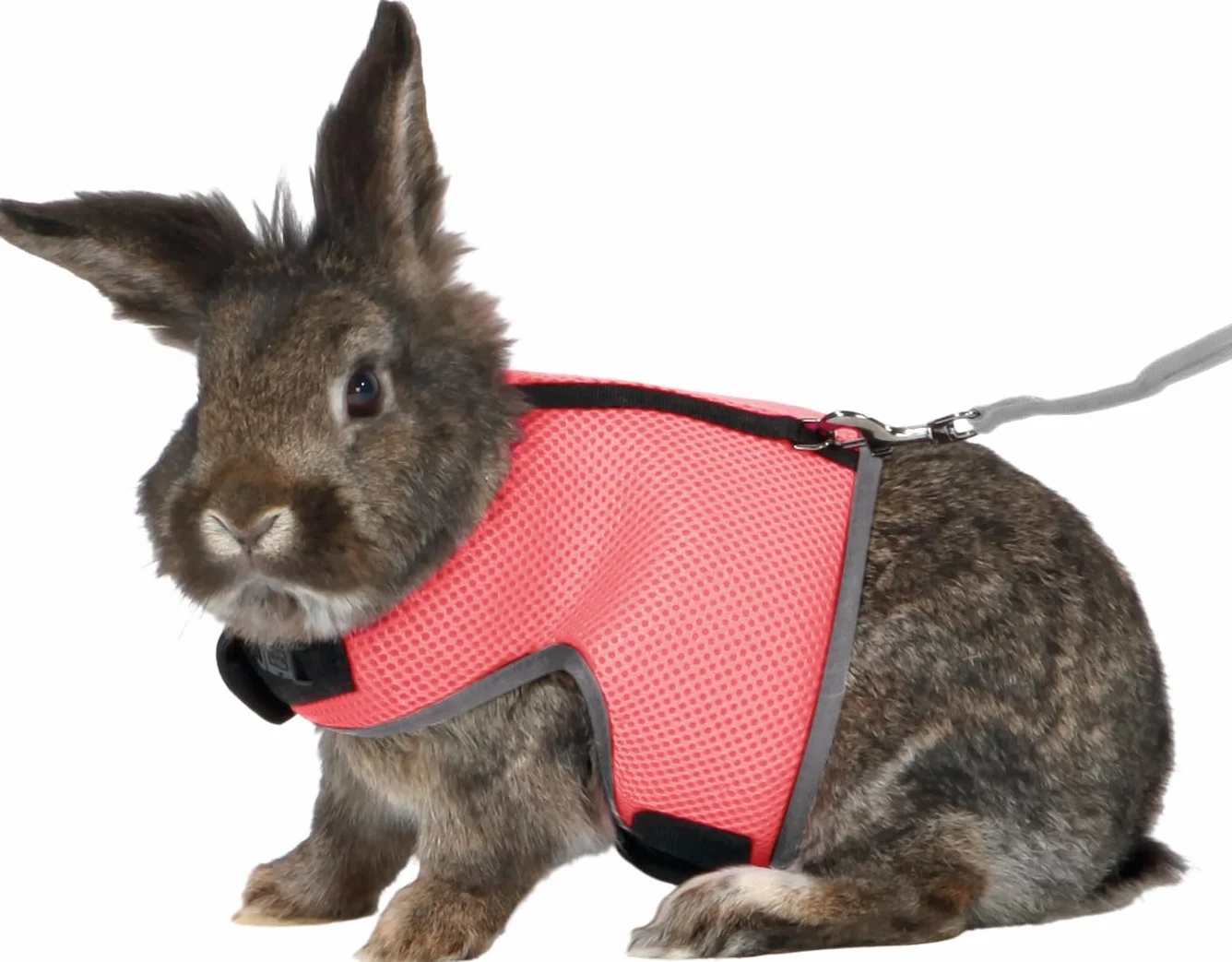 TRIXIE Miękka uprząż ze smyczą - w pełni elastyczna smycz 1,20 m - obwód brzucha 25-40 cm - bezstopniowa regulacja - z zapięciem na rzepy - różne kolory - wybór losowy - 61514