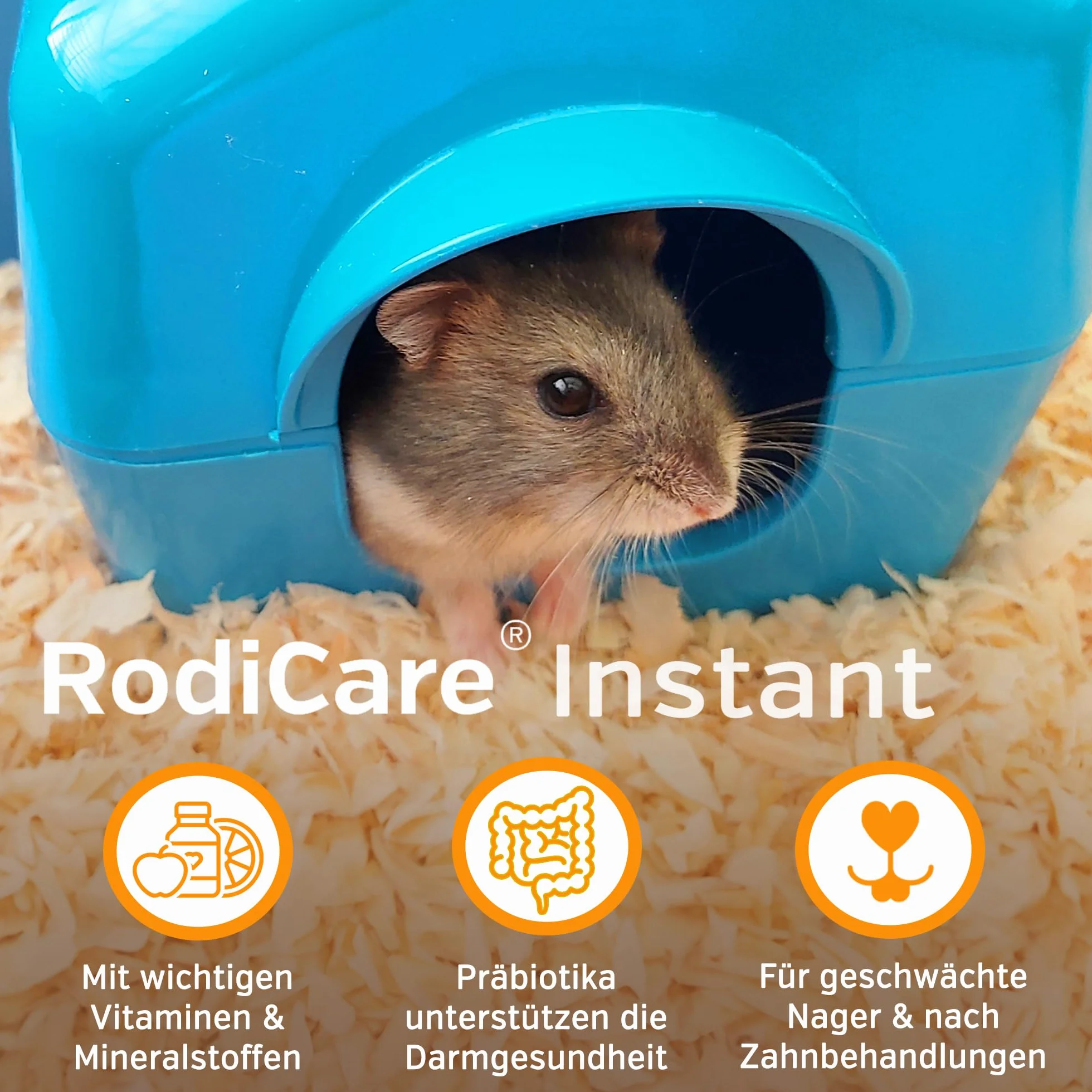 Alfavet RodiCare instant dwupak karma dla osłabionych królików karłowatych świnek morskich małych gryzoni pełnoporcjowa pasza z ziołami proszek 2 x 170 g