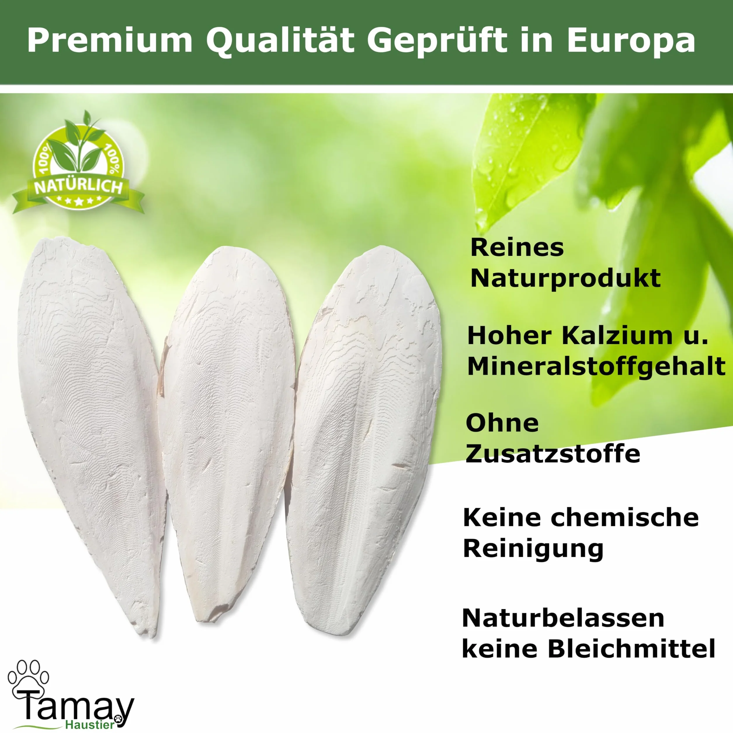 Tamay Miseczki sepia Premium 12 sztuk pokarm dla gadów żółwi ptaków akcesoria do terrarium