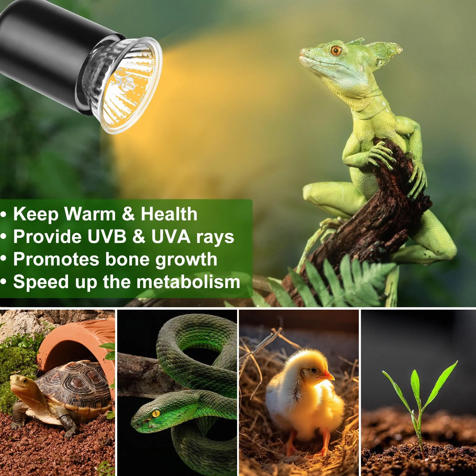 Weinsamkeit Lampa grzewcza dla gadów UVA UVB 360° z wężem i zegarem 2 żarówki