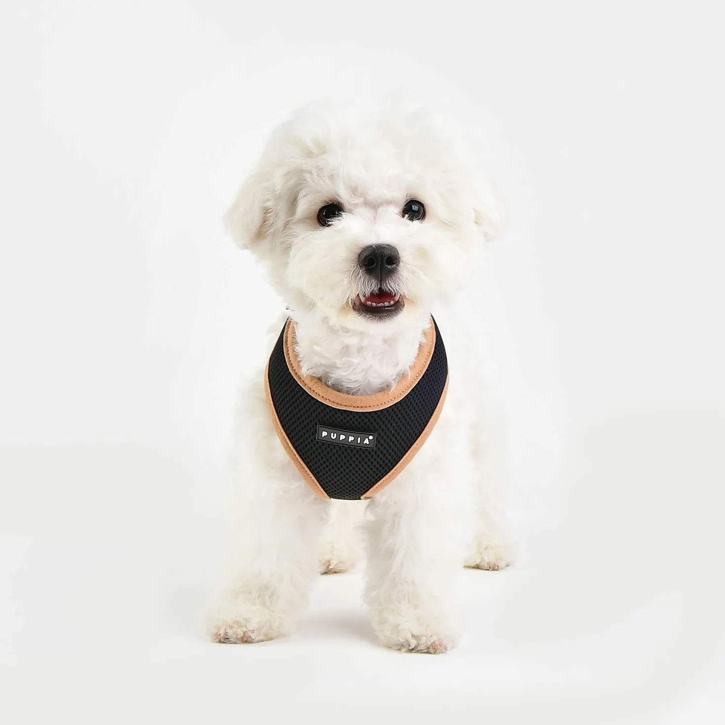 HARNESS SOFT II A BLACK M