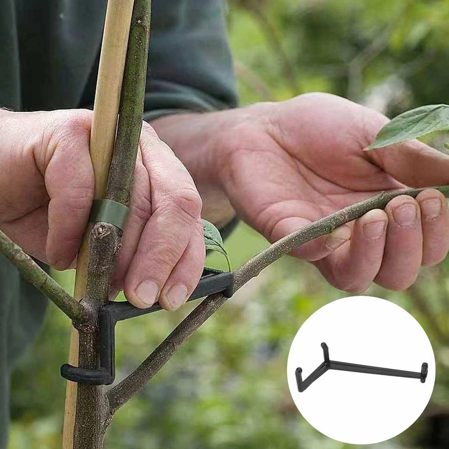Rozpieracz Gałęzi Drzewa Owocowego, 20 szt. Plastikowy Trwały Rozpieracz Gałęzi Odporne na Ciśnienie Narzędzie Bonsai do Ogrodnictwa