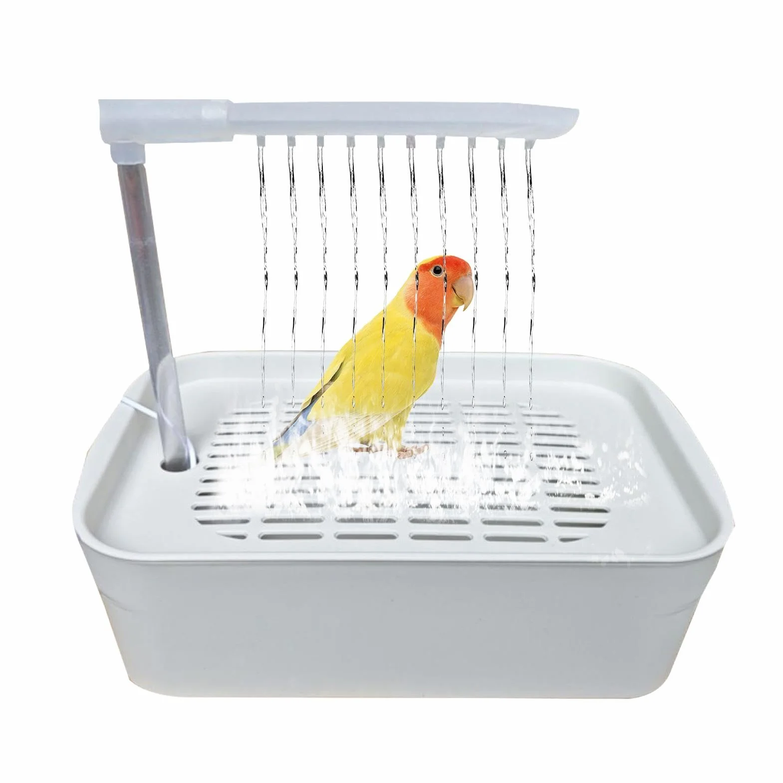 Parrot Bathtub, automatyczny shower dla zwierząt domowych, zasilana rurką do kąpieli z wejściem USB, klatka do kąpieli dla małych do średnich ras, łatwe i zabawne rozwiązanie do kąpieli, 12,99 x 8,66