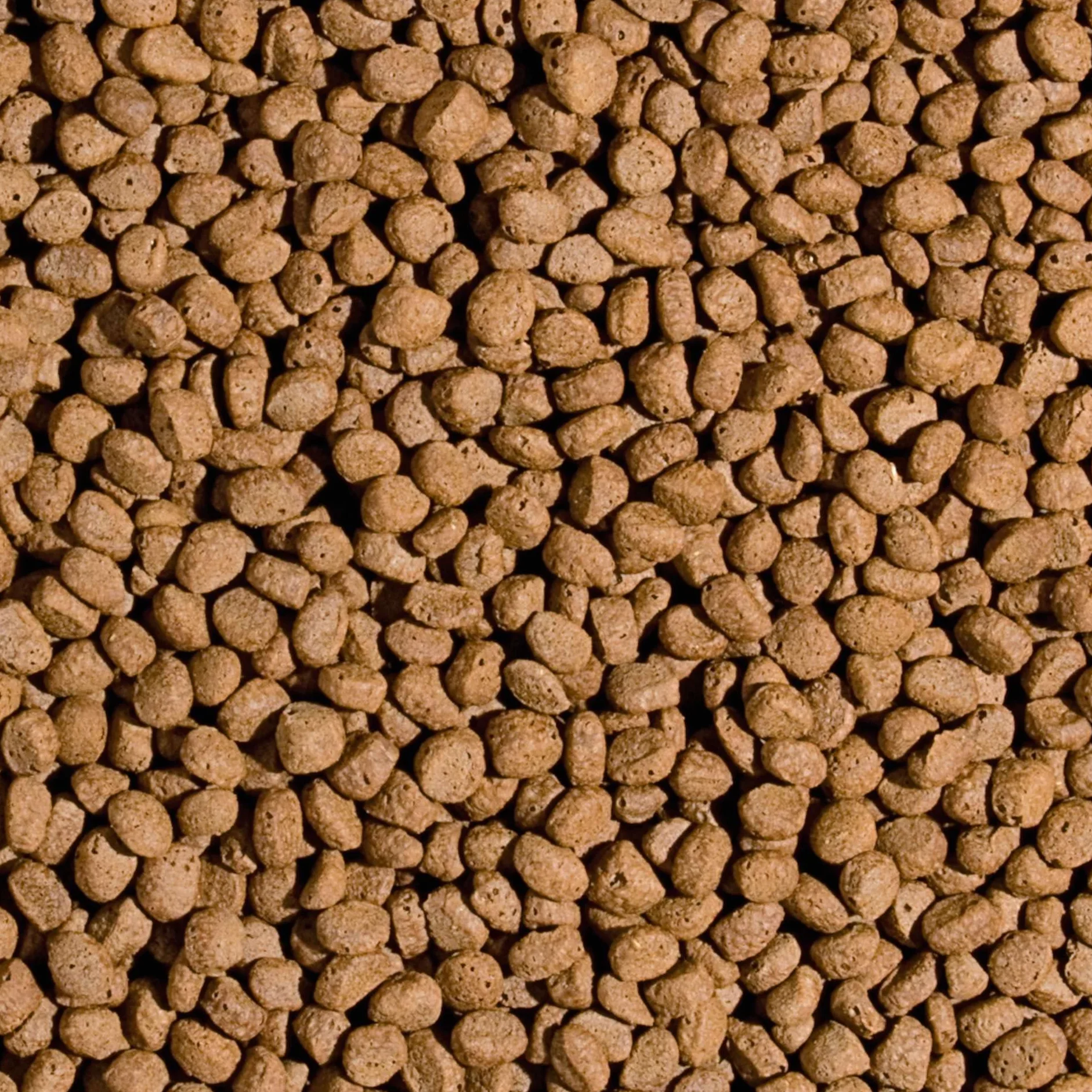 Pokarm w formie pływającego pelletu dla ryb w oczkach wodnych KOI PROBIOTIC PELLET SIZE M 7kg