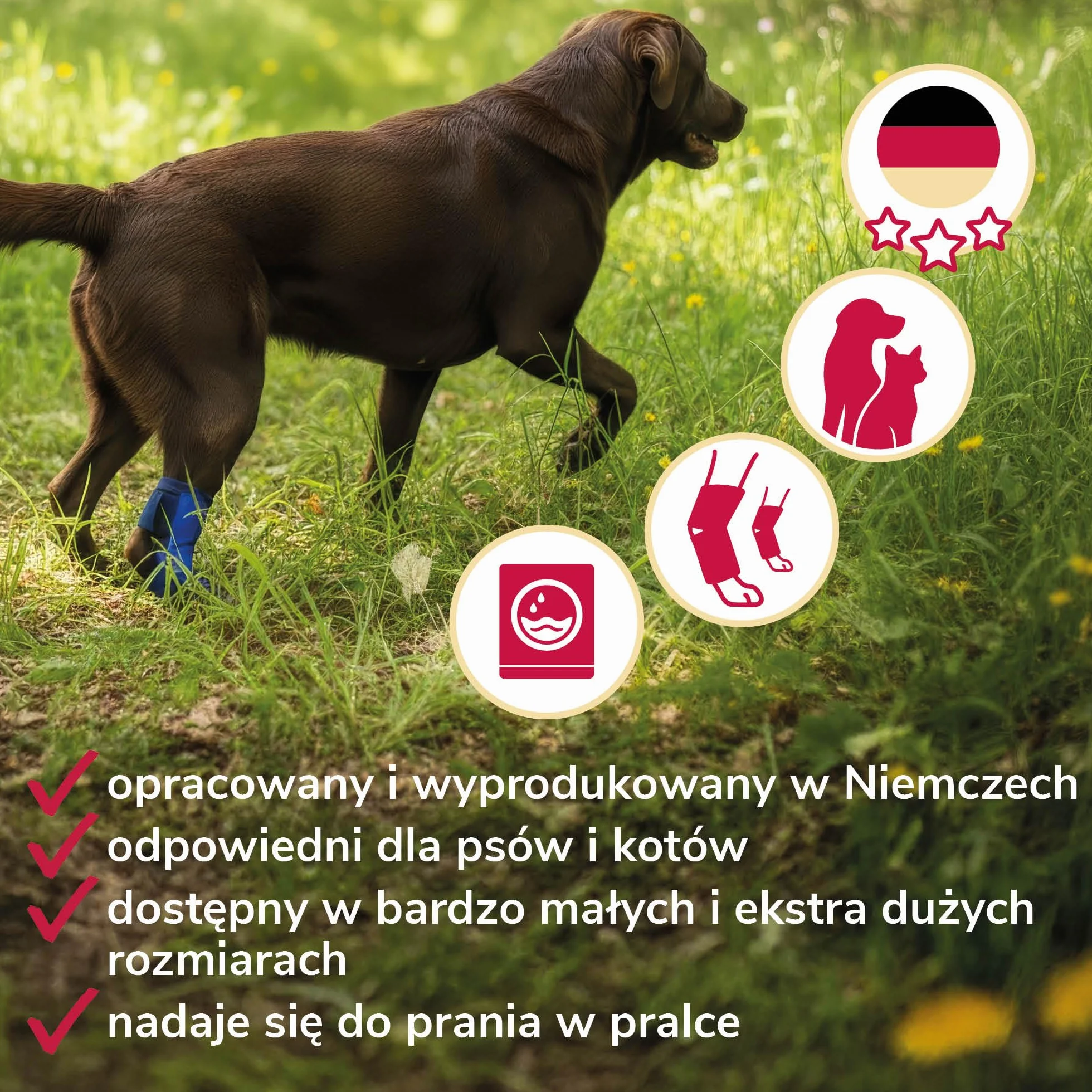Bandaż na Staw Skokowy z Pianki Rozmiar XS dla Psów & Kotów – Oddychający ze Szynami do Wsparcia Stawu Skokowego przy Artrozie & Niestabilności