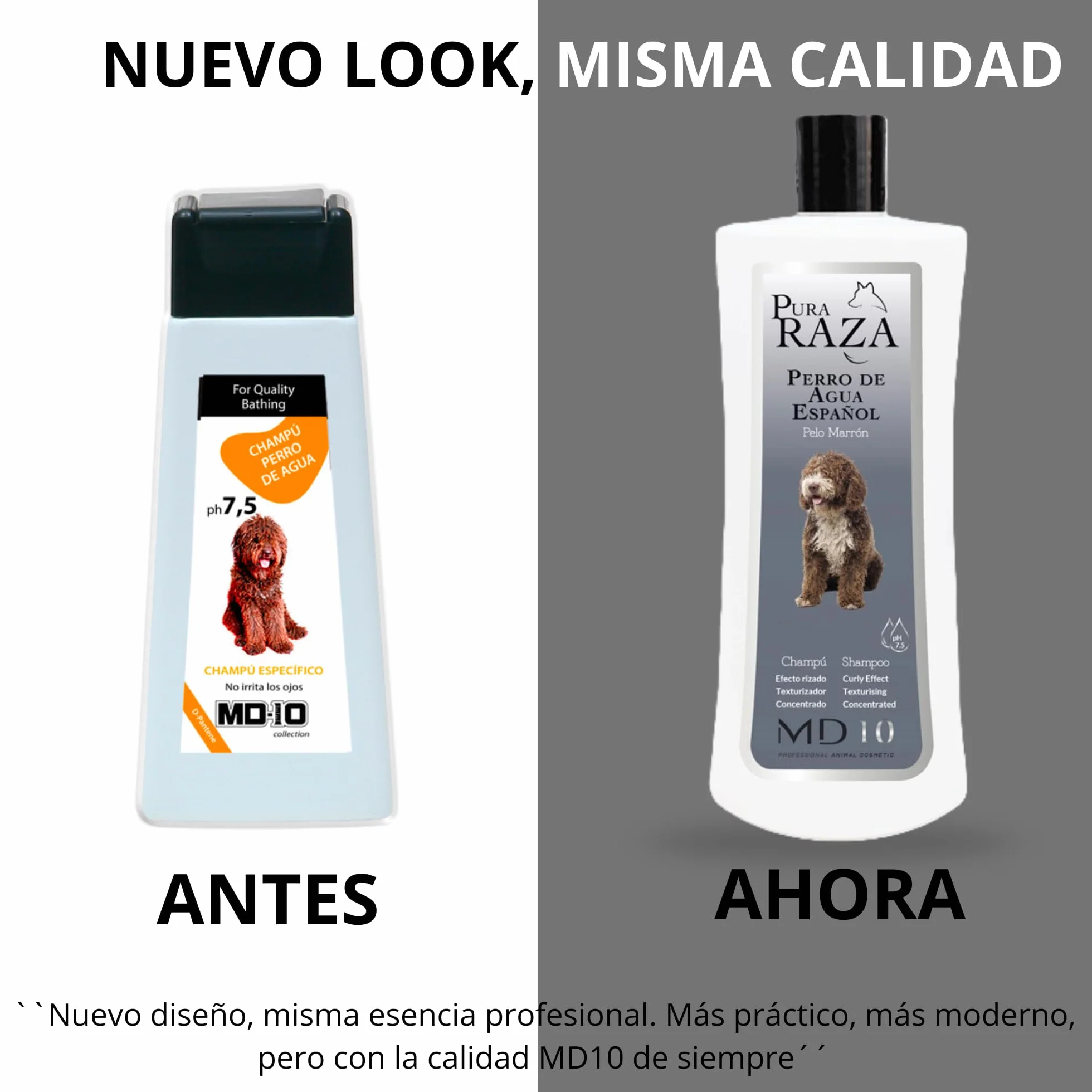 MD10 Shampoo Lagotto Romagnolo - Shampoo per Cani pelo lungo - shampoo cani pelo lungo - Cani Shampoo pulire il cane Vegano e biodegradabile 300ml