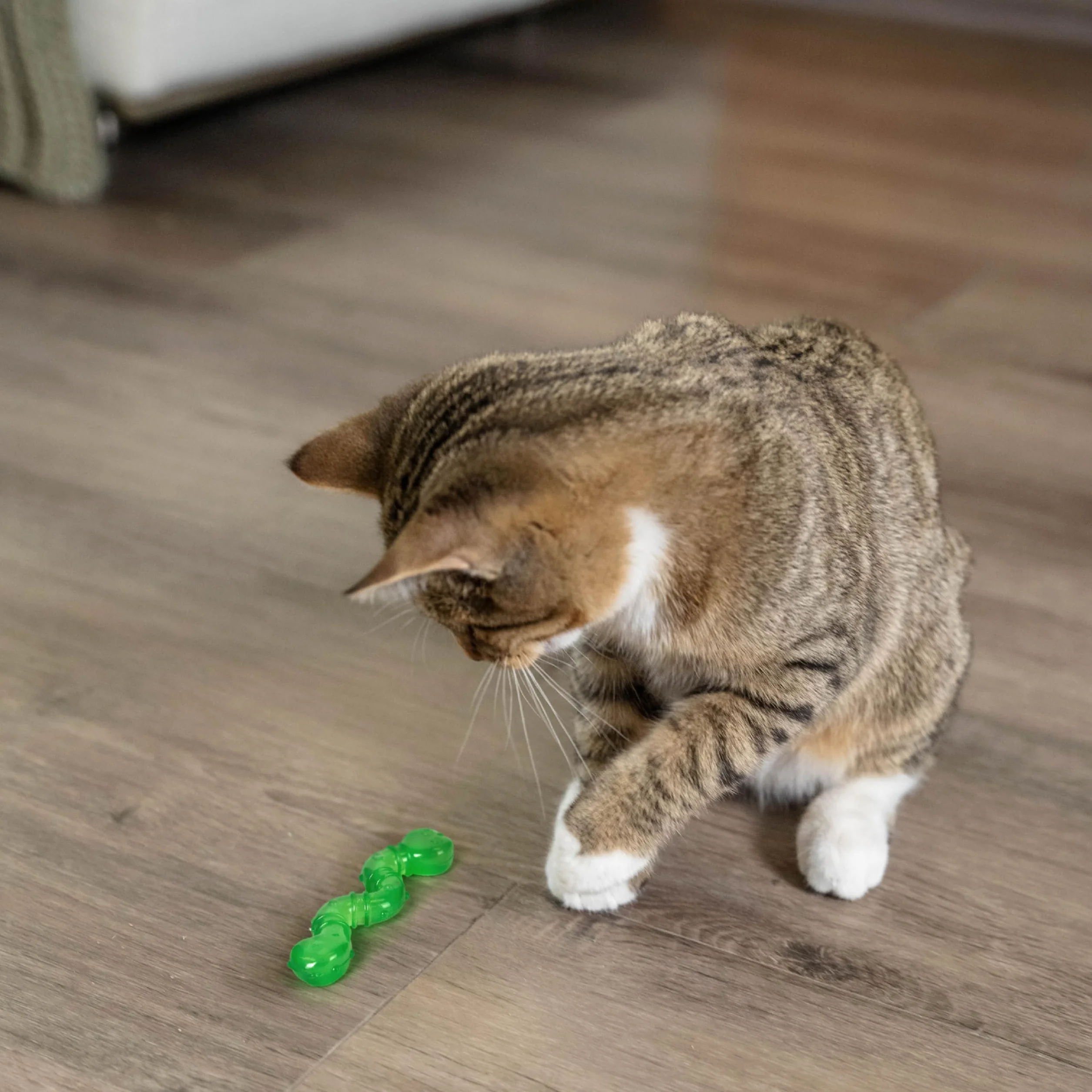 Petstages Orkakat Wiggle Worm - Kocimiętka rozłożona zabawka dla kotów do uderzania i polowania