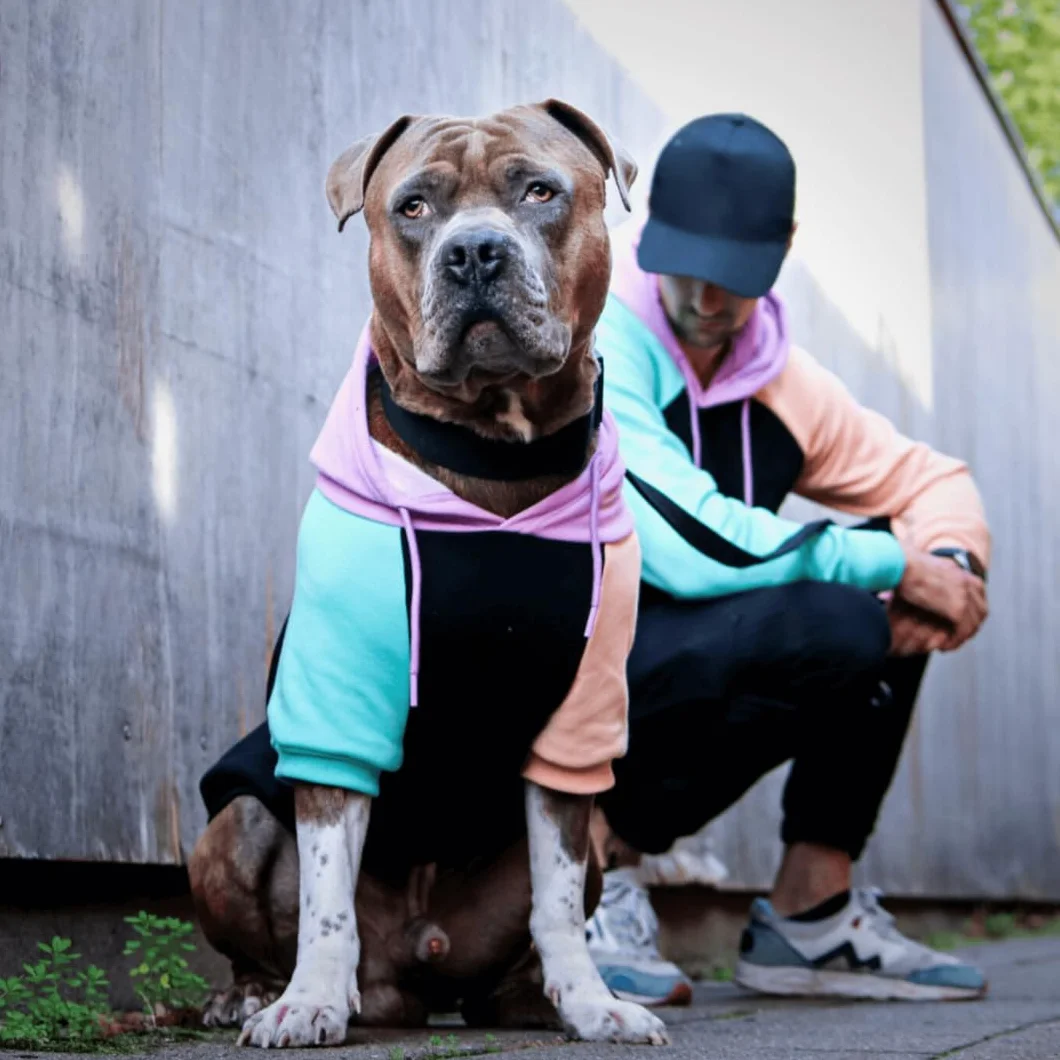 Spark Paws Bluza z kapturem dla psa – jakość premium, miękka masło, doskonały komfort i dopasowanie, uspokajająca polarowa strona wewnętrzna, odpowiednia dla wszystkich ras - Cyber Punk - M