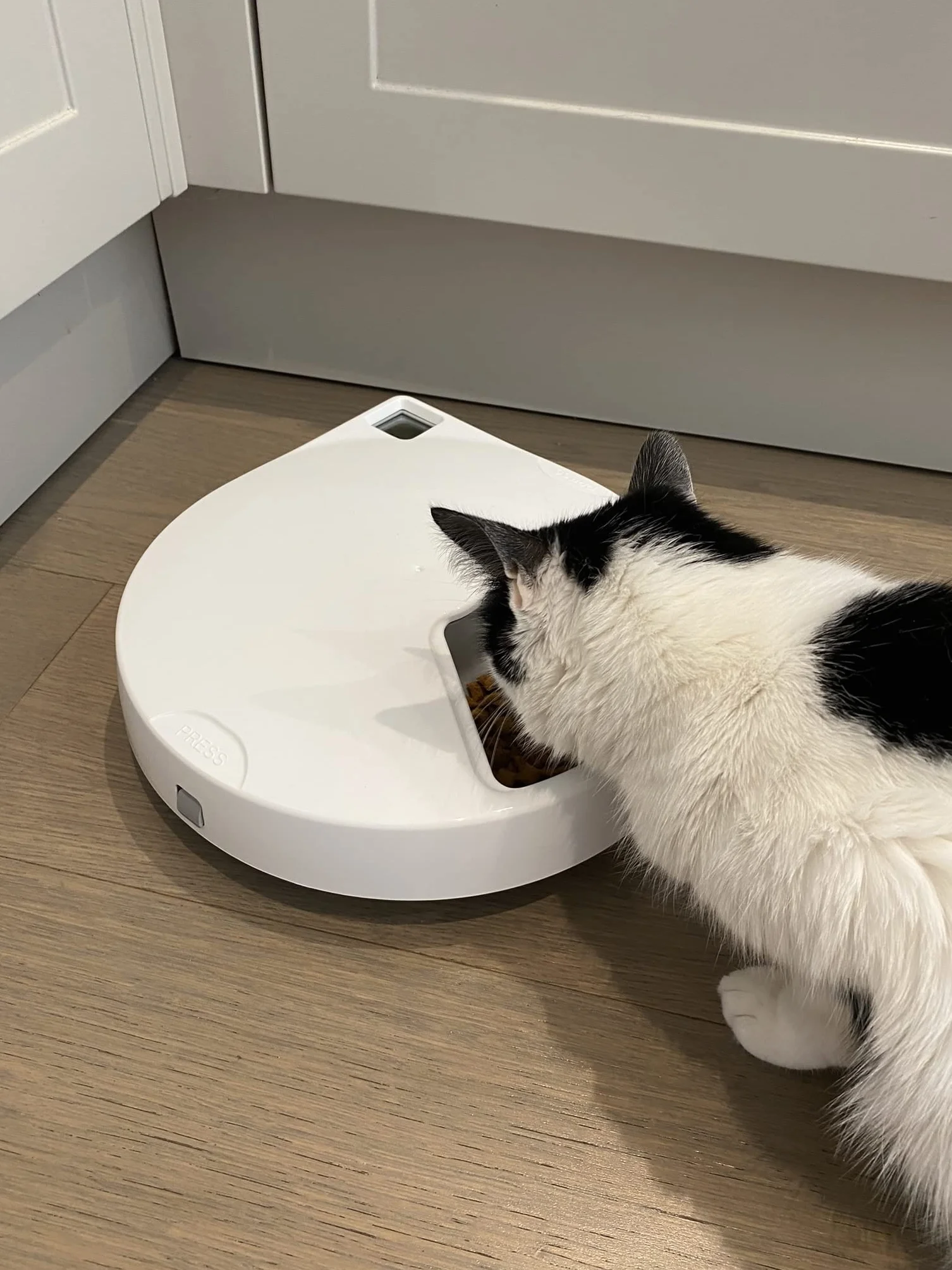 Cat Mate C500 Automatyczny karmnik dla zwierząt domowych ze stali nierdzewnej