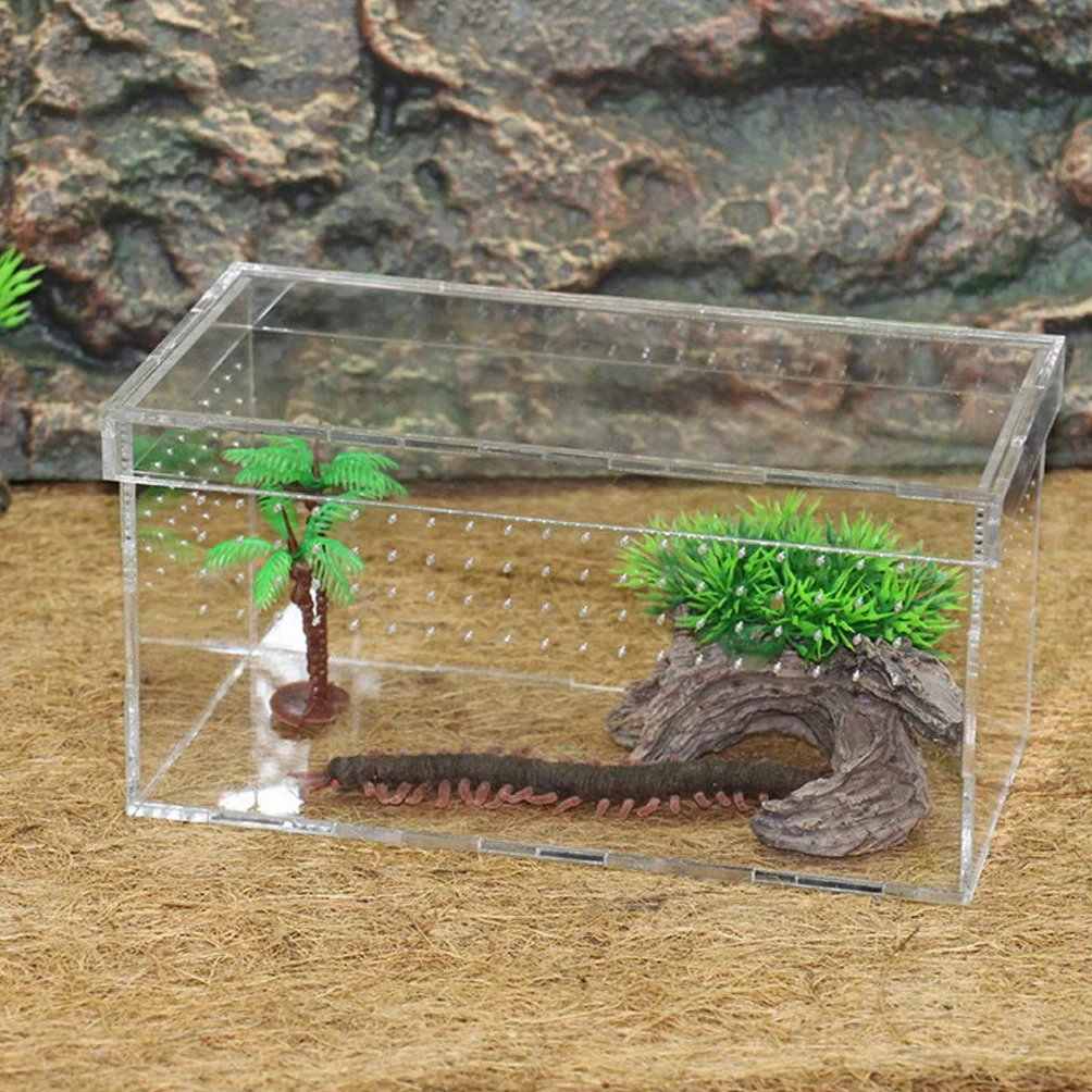 Pudełko terrarium dla gadów i płazów węże jaszczurki żółwie pająki
