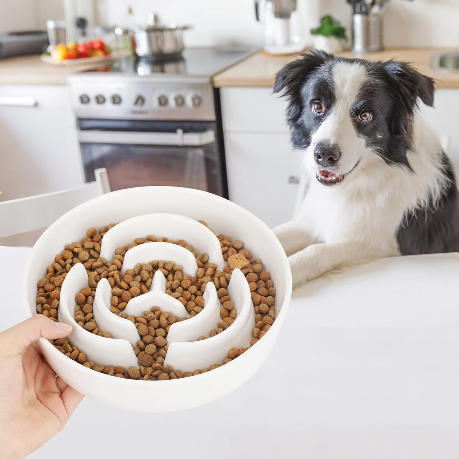 PETTOM Ceramiczna miska dla psa przeciw korkom