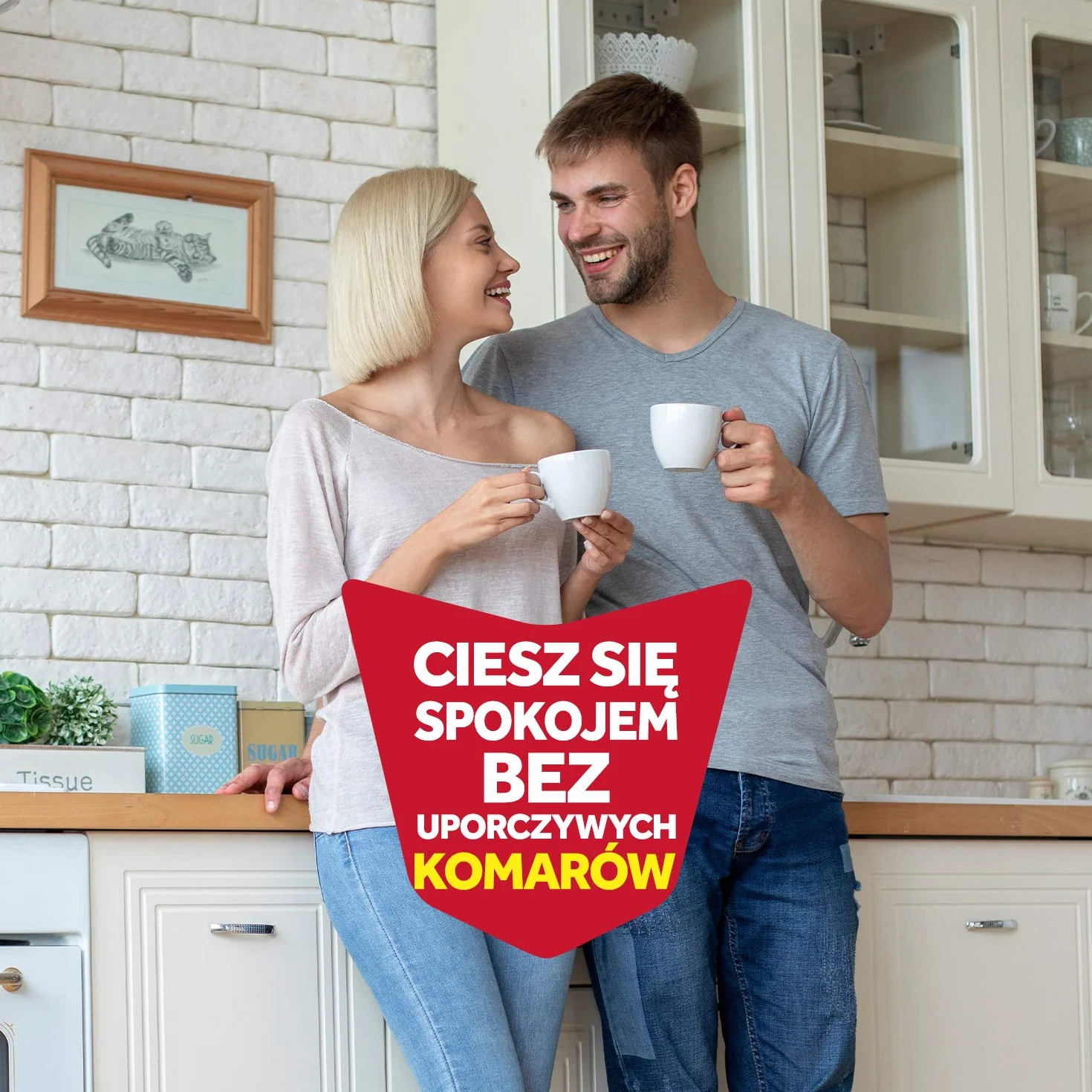 Raid Elektrofumigator z Płynem Owadobójczym Przeciw Komarom, Urządzenie z Wkładem, Bezzapachowy, 27 ml