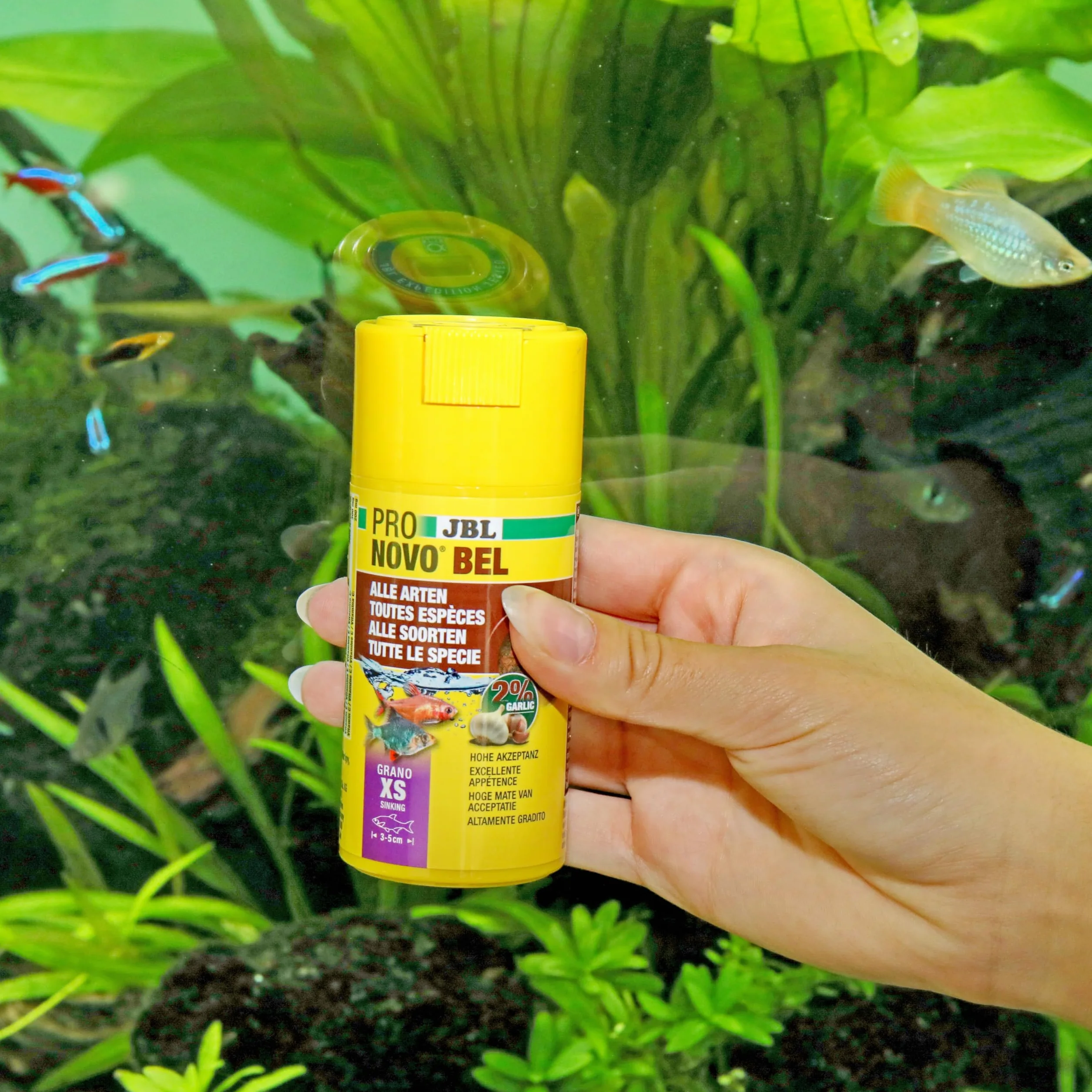 JBL PRONOVO BEL GRANO, podstawowa karma dla wszystkich Ryb akwariowych 3-5 cm, granulat rybny, dozownik na kliknięcie, rozmiar XS, 100 ml