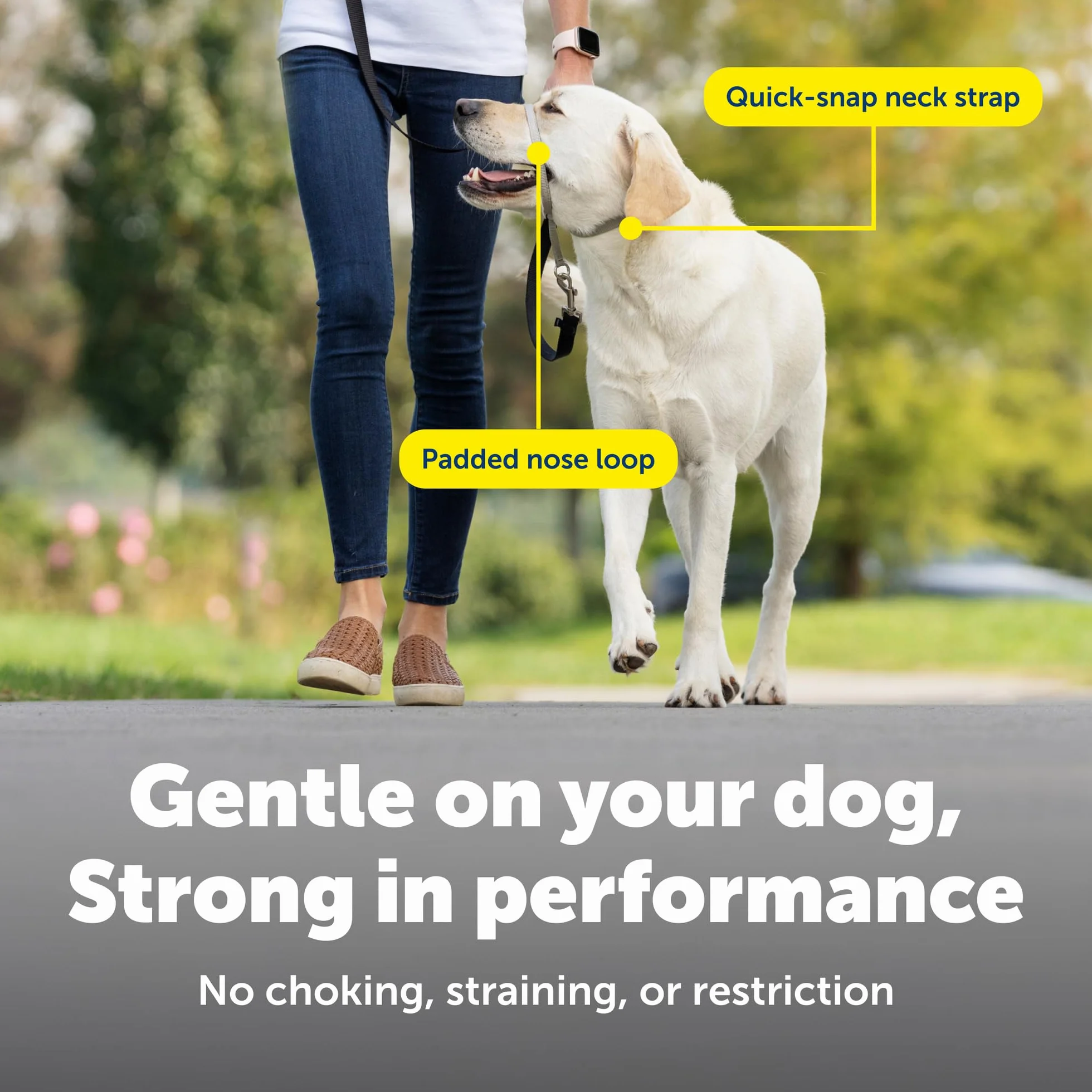 PetSafe Gentle Leader Headcollar No-Pull Dog Collar Medium Black Durable Nylon Padded Nose Loop Adjustable Fit