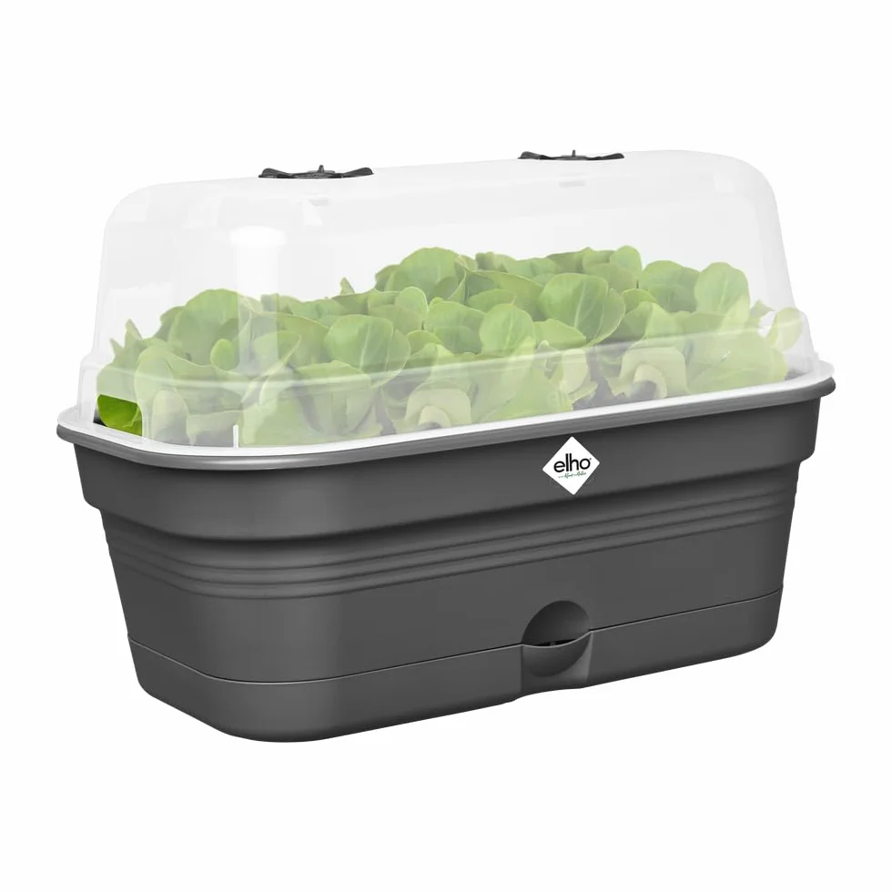 elho Green Basics Allin1 32 miska do uprawy roślin - zestaw do uprawy - 100% plastik z recyklingu - Ø 32,0 x wys. 13,2 cm - czarna/Living Black