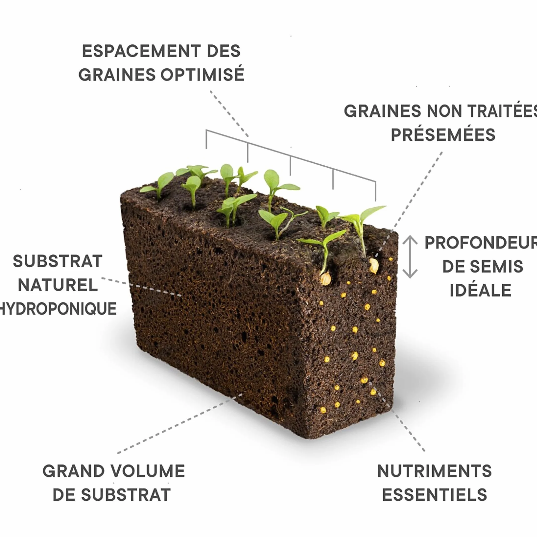 Véritable® Lingot® mini czerwony pomidor – kompatybilny z ogrodami wewnętrznymi i Exky® – gotowy do użycia – substrat z wbudowanymi nasionami