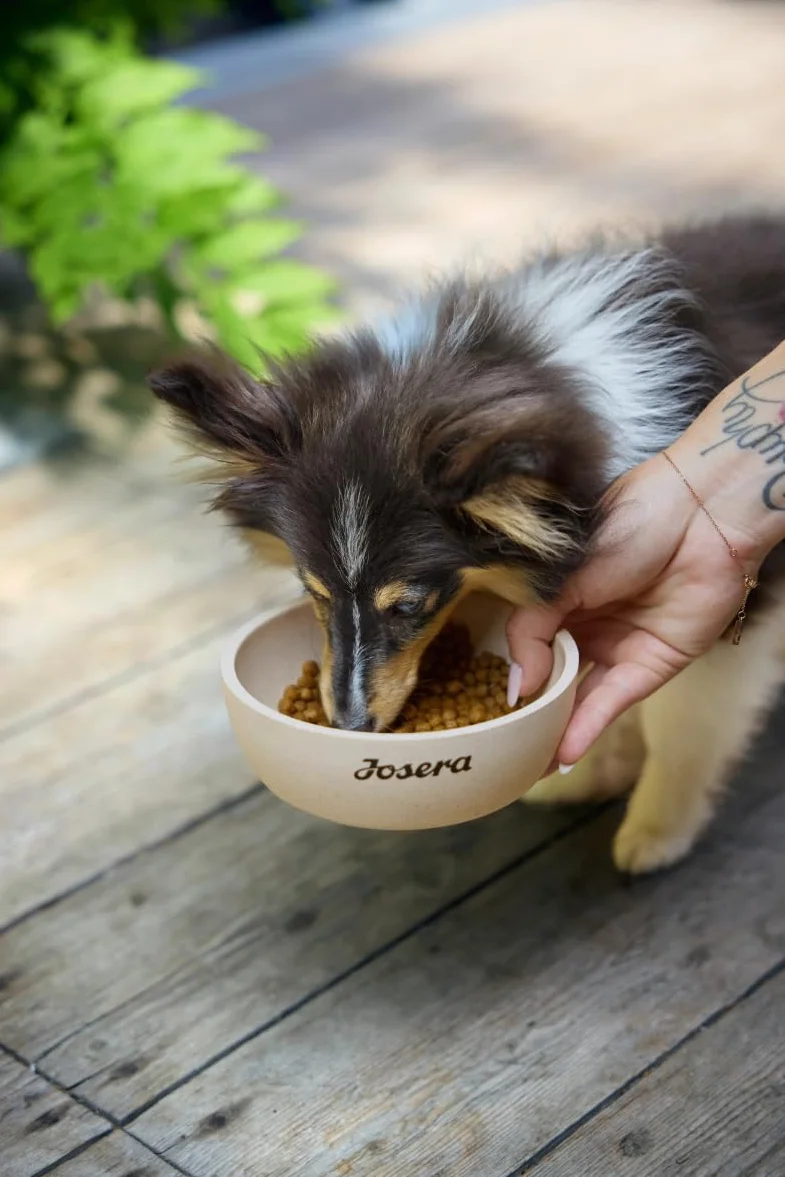 JOSERA Mini jagnięcina sucha karma dla dorosłych psów małych ras 3 kg
