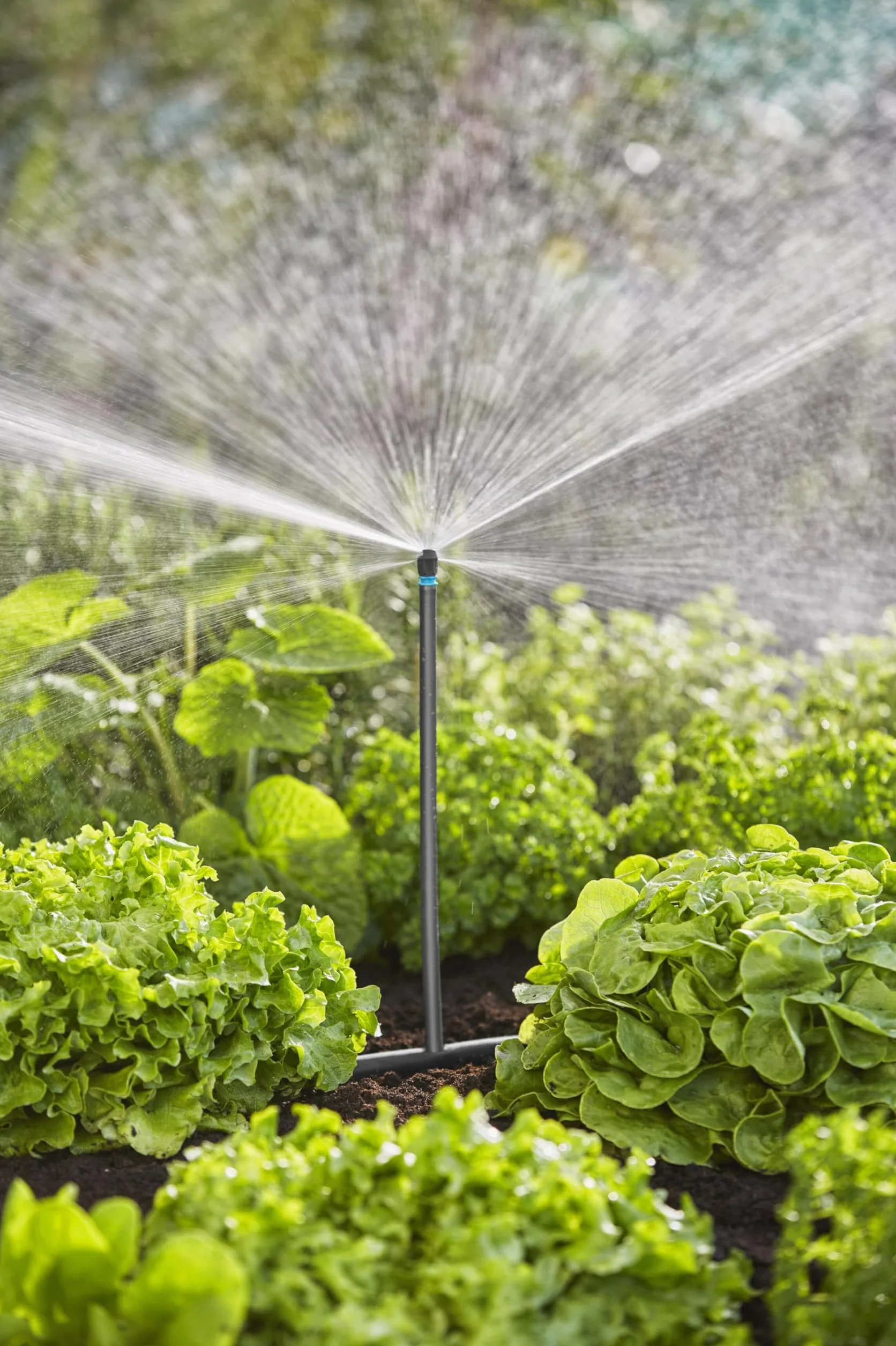 Gardena system Micro-Drip nawadnianie kropelkowe, zestaw do grządek warzywnych/kwiatowych (40 m²): Zest. start. gotowy do zast., wodooszcz. sys. nawad., prosta i elast. tech. połącz. (13450-20)