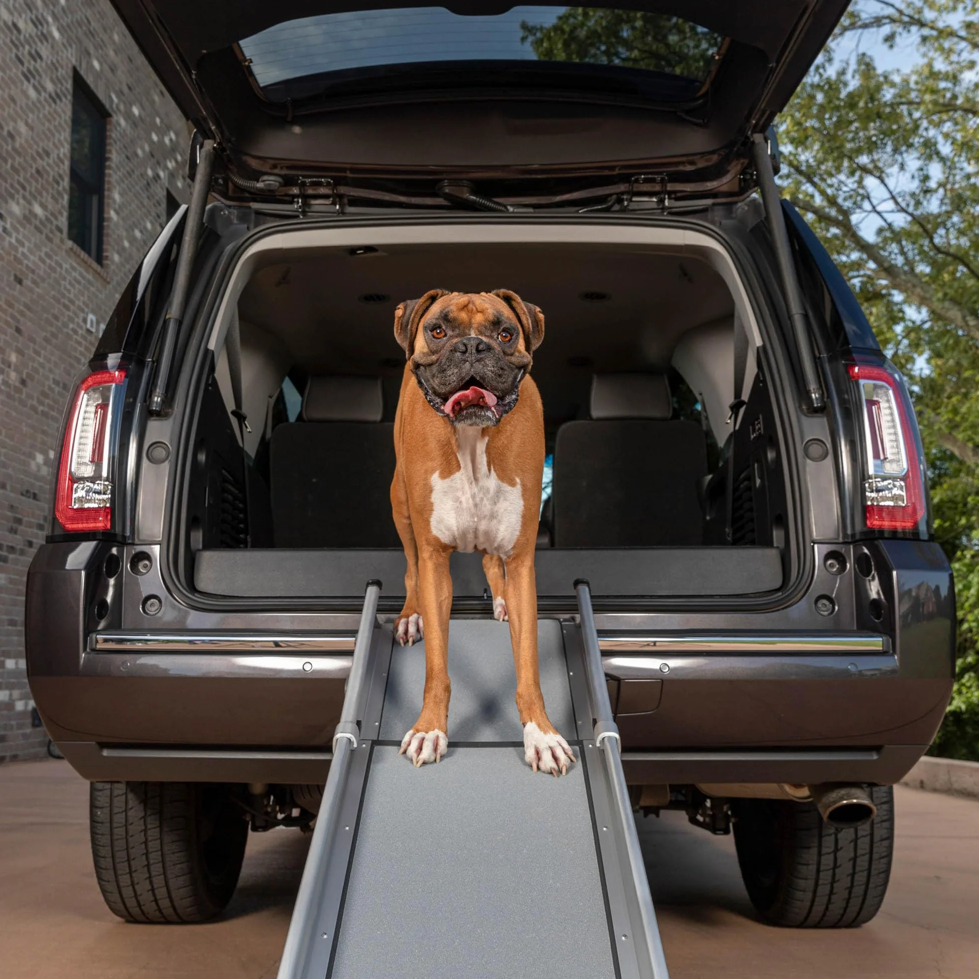 PetSafe Happy Ride kompaktowa rampa teleskopowa dla psów, przenośna, idealna do samochodów, ciężarówek i SUV-ów – Wytrzymała aluminiowa rama, nośność do 140 kg – powierzchnia o wysokiej przyczepności
