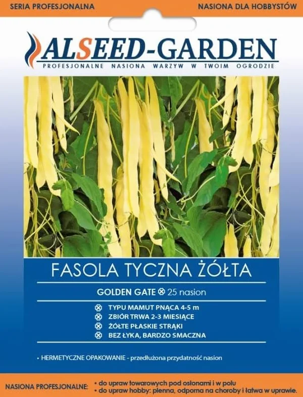 FASOLA TYCZNA GOLDEN GATE ŻÓŁTA TYP MAMUT PNĄCA NASIONA HOLENDERSKIE 25 SZT